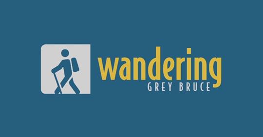 Wandering Grey Bruce