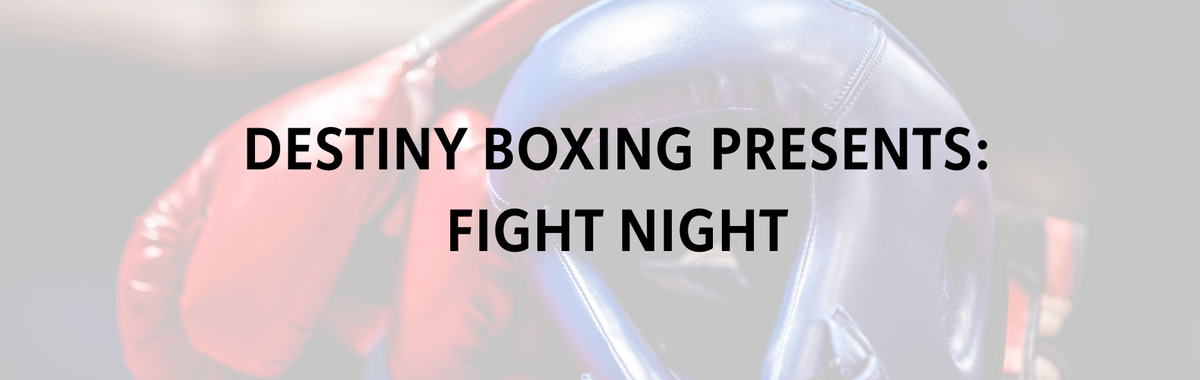 Destiny Boxing Presents: Fight Night