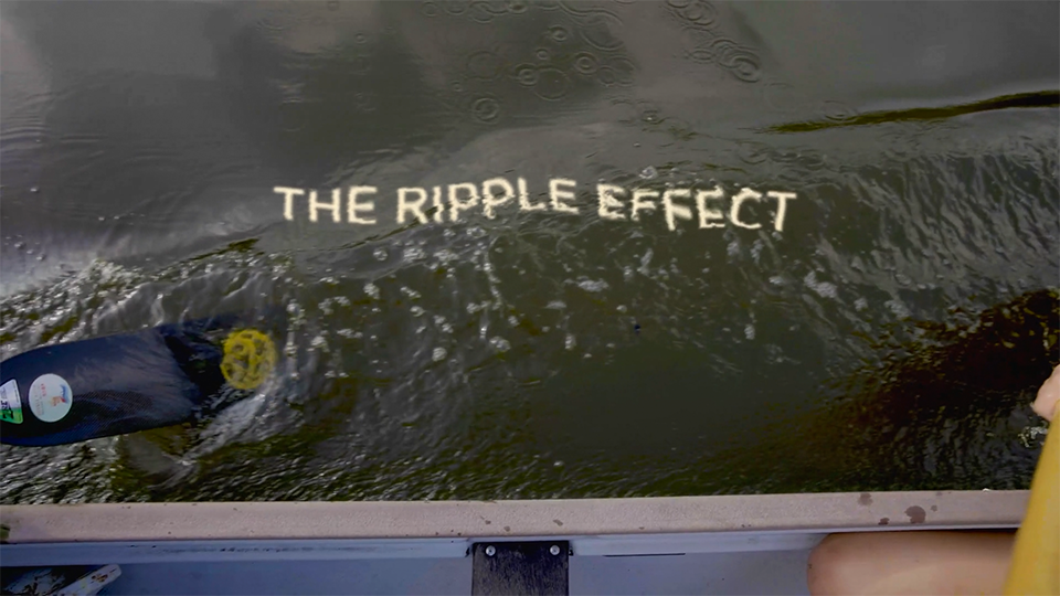 The Ripple Effect 