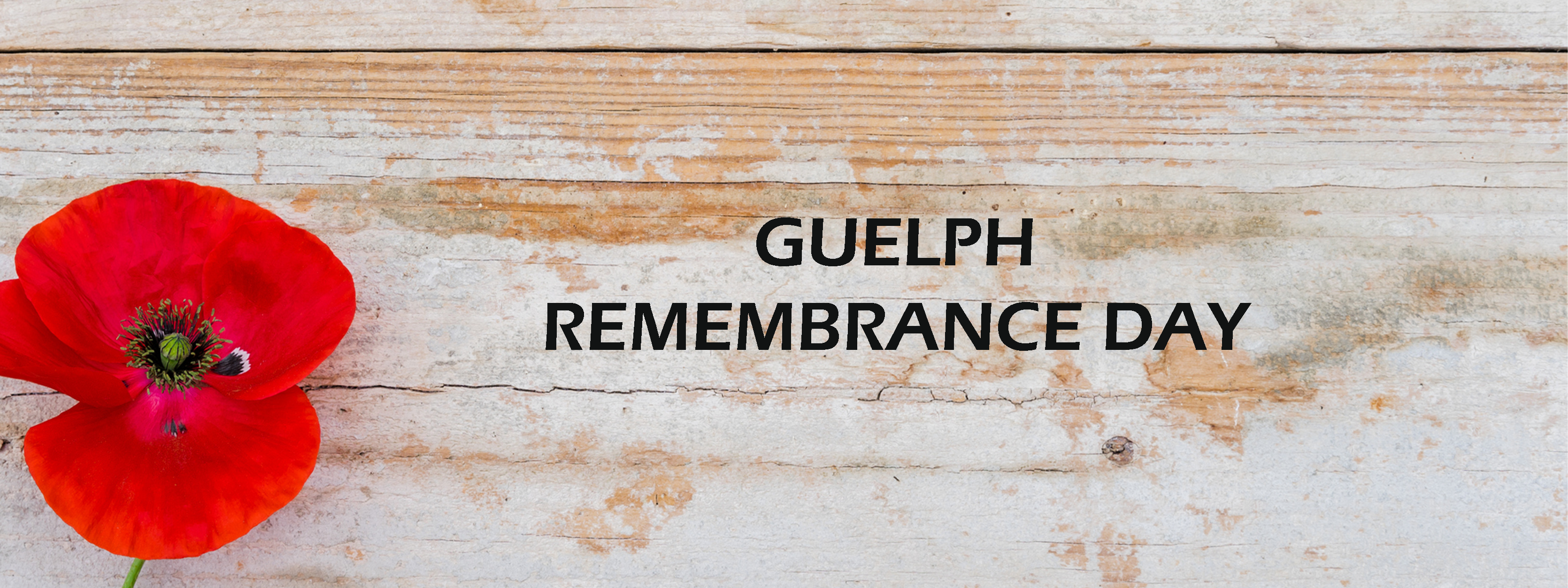 Guelph Remembrance Day