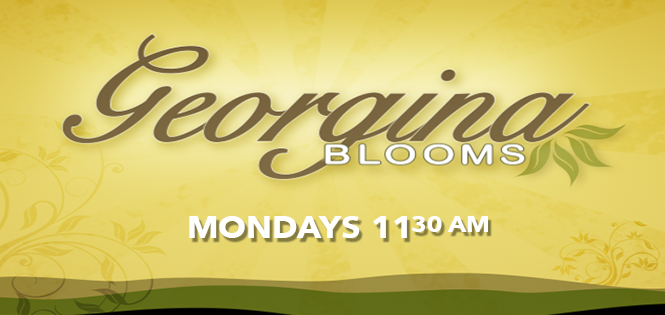 Georgina Blooms - Mondays at 11:30am