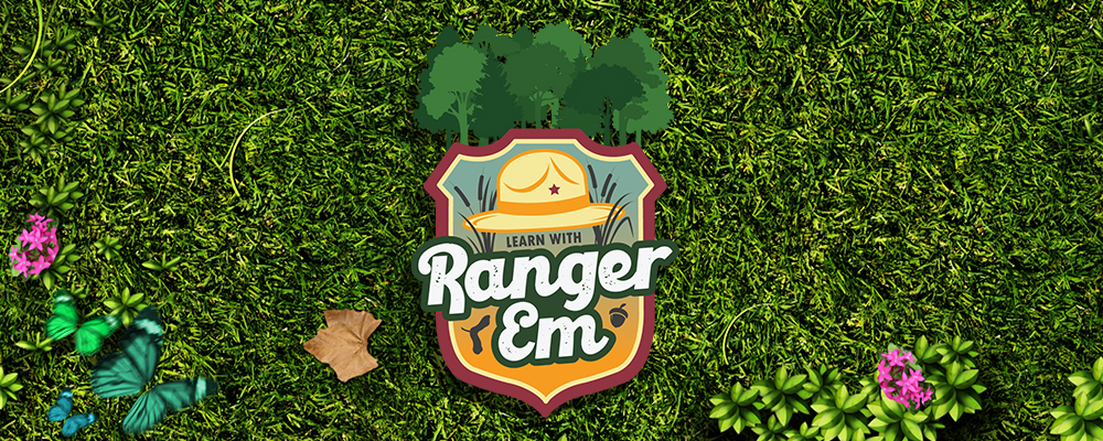 Learn with Ranger Em - Thursdays at 8pm