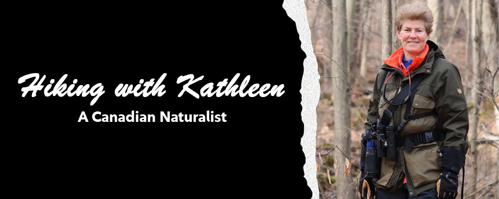 Hiking with Kathleen - Saturdays at 8pm