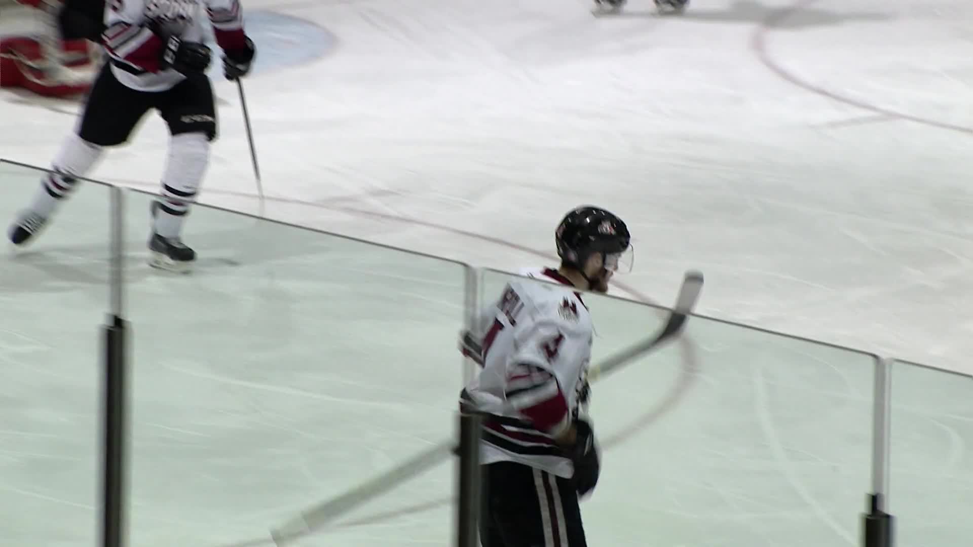 OHL Hockey - Owen Sound Attack