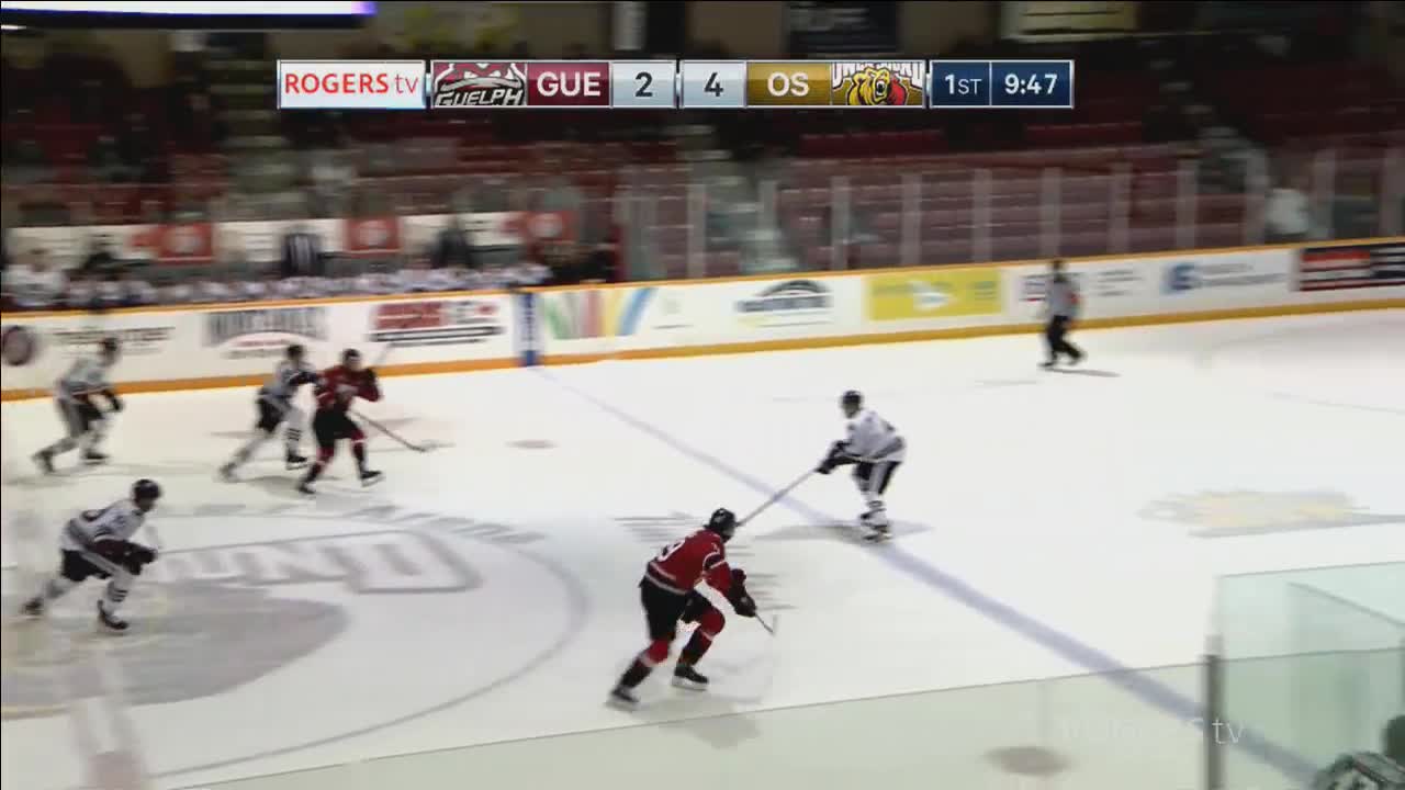 OHL Hockey - Owen Sound Attack