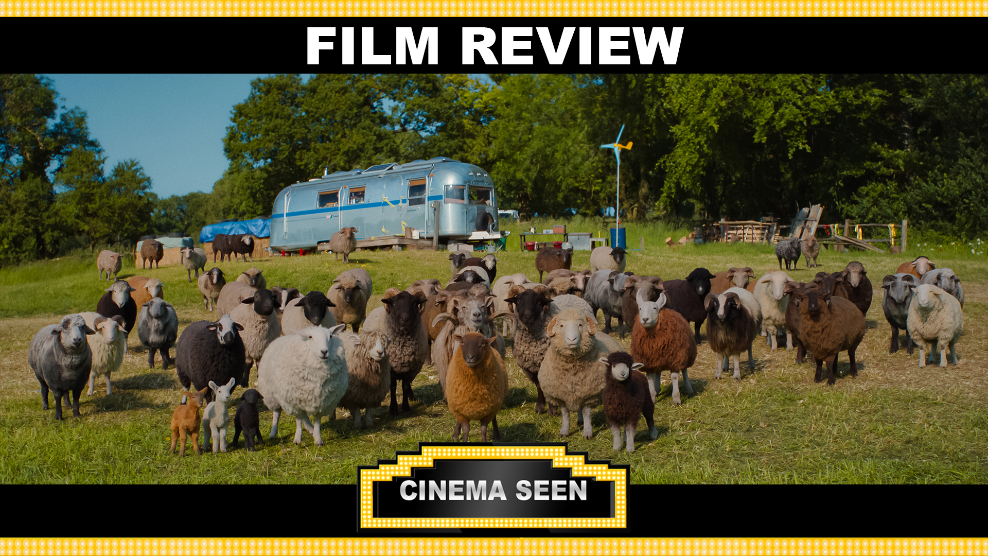 Cinema Seen