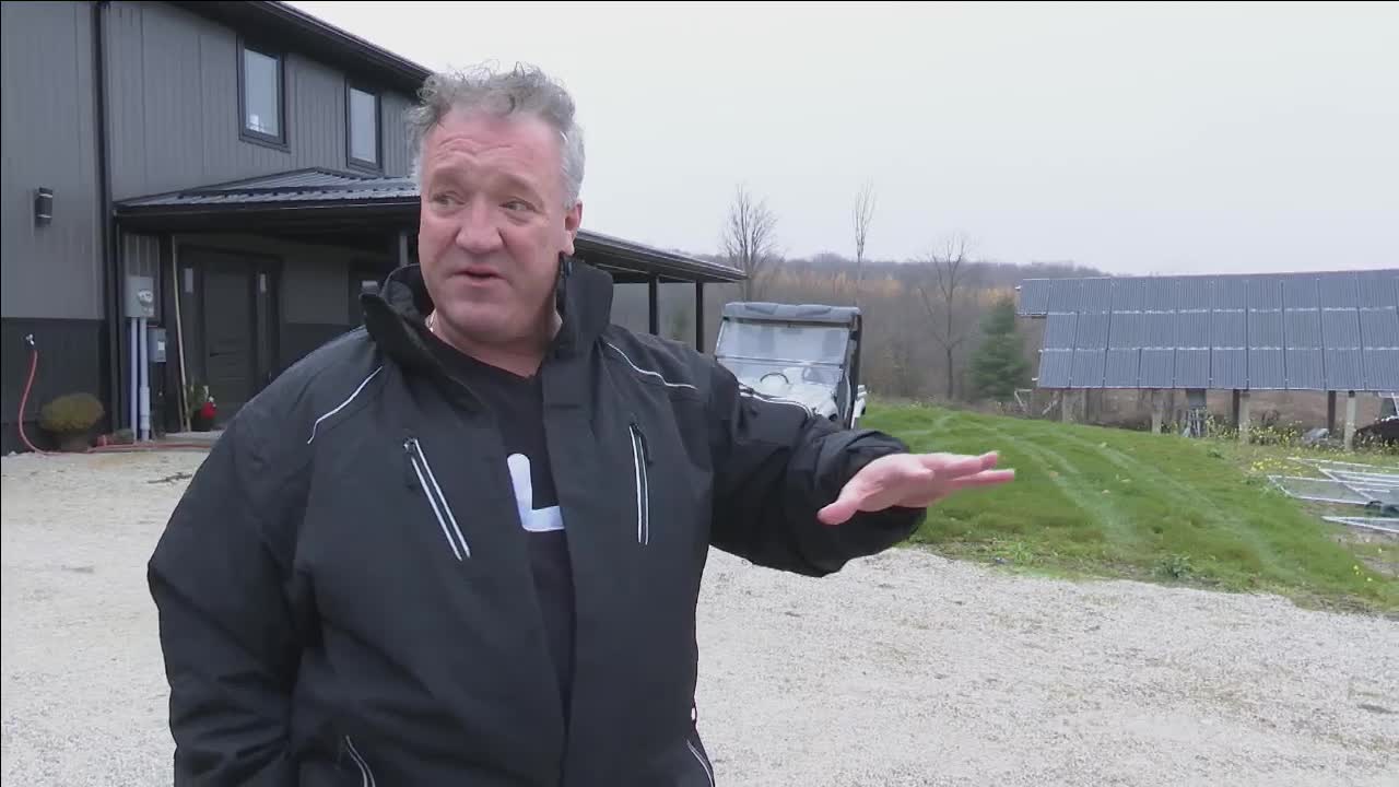 Wandering Grey Bruce