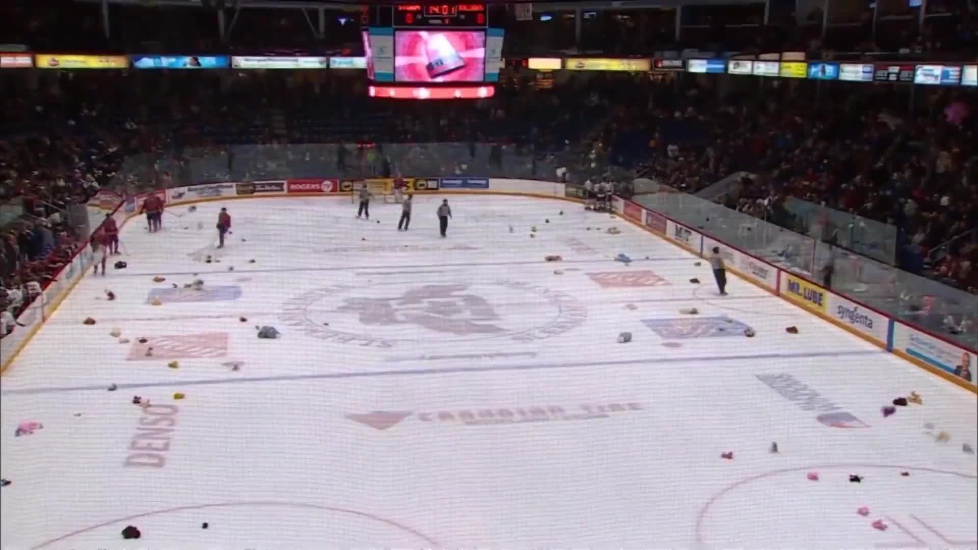 OHL Hockey - Guelph Storm