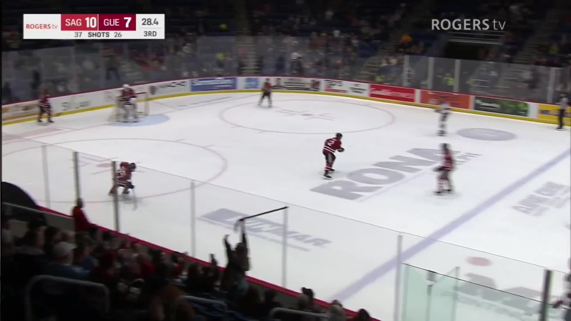OHL Hockey - Guelph Storm