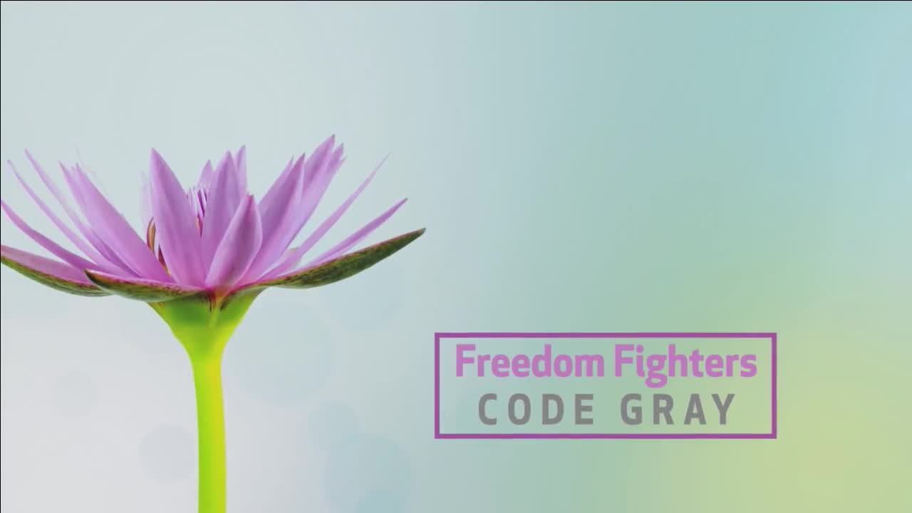 Freedom Fighters: Code Gray 