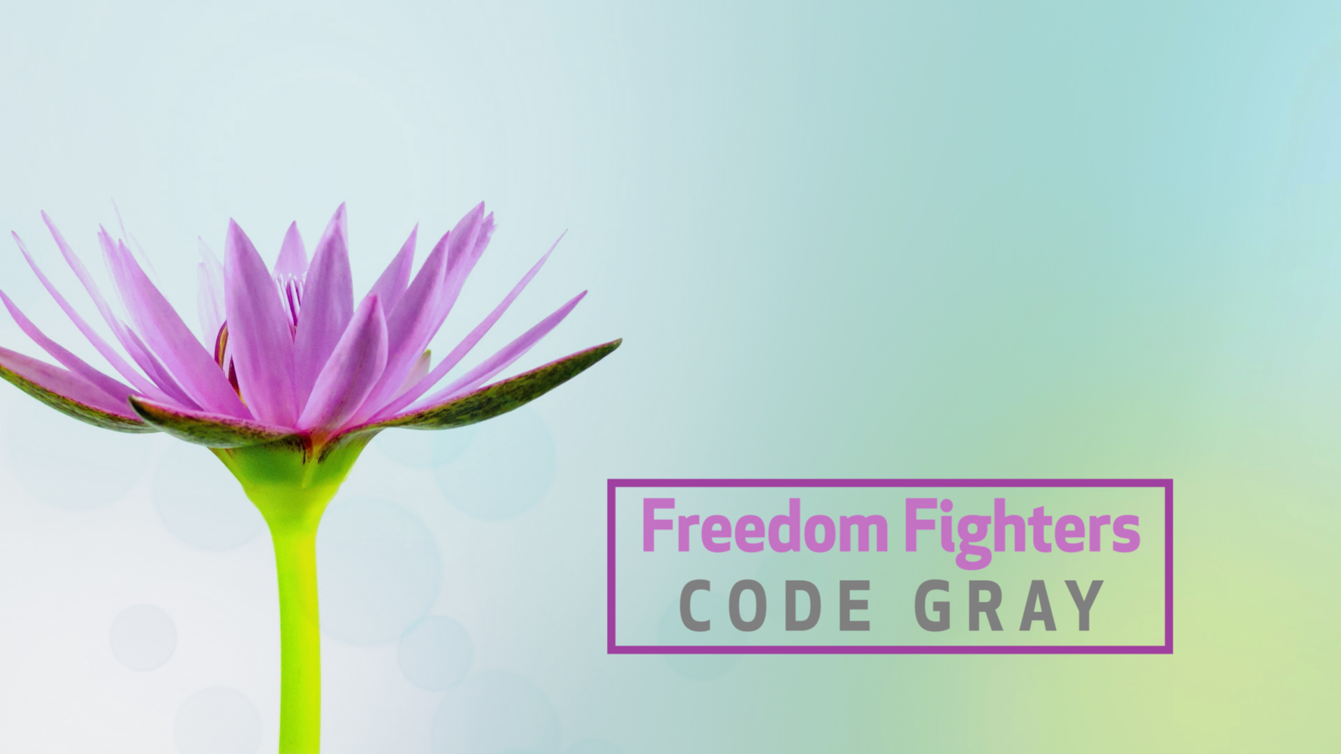 Freedom Fighters: Code Gray 