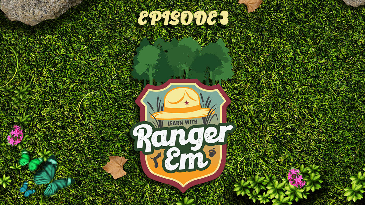 Learn with Ranger Em