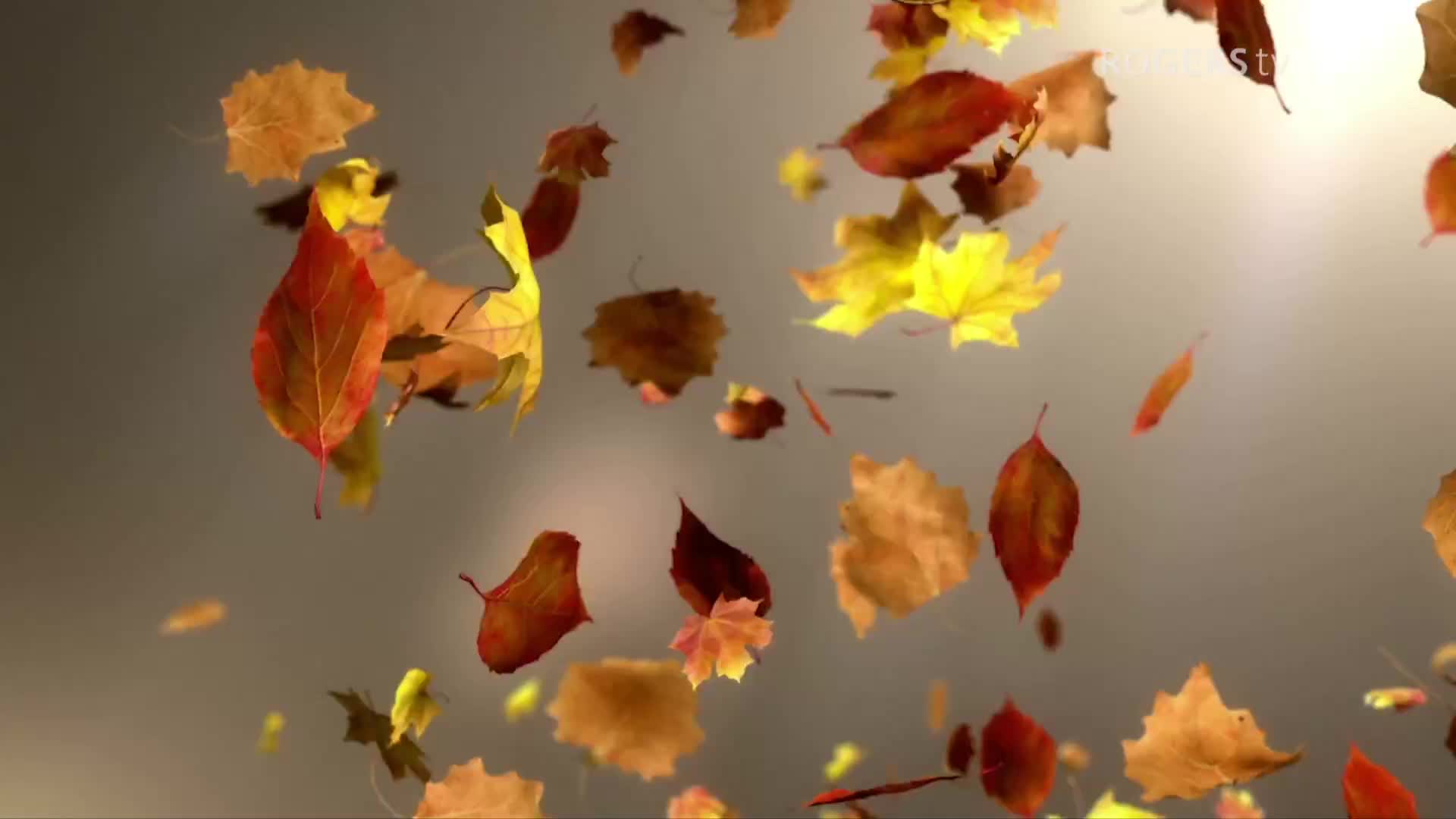 The Quintessence Coalition