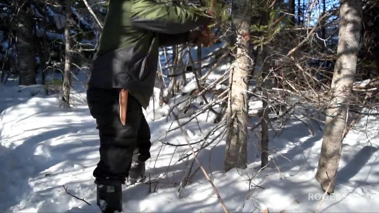 The Newfoundland Hobbyist