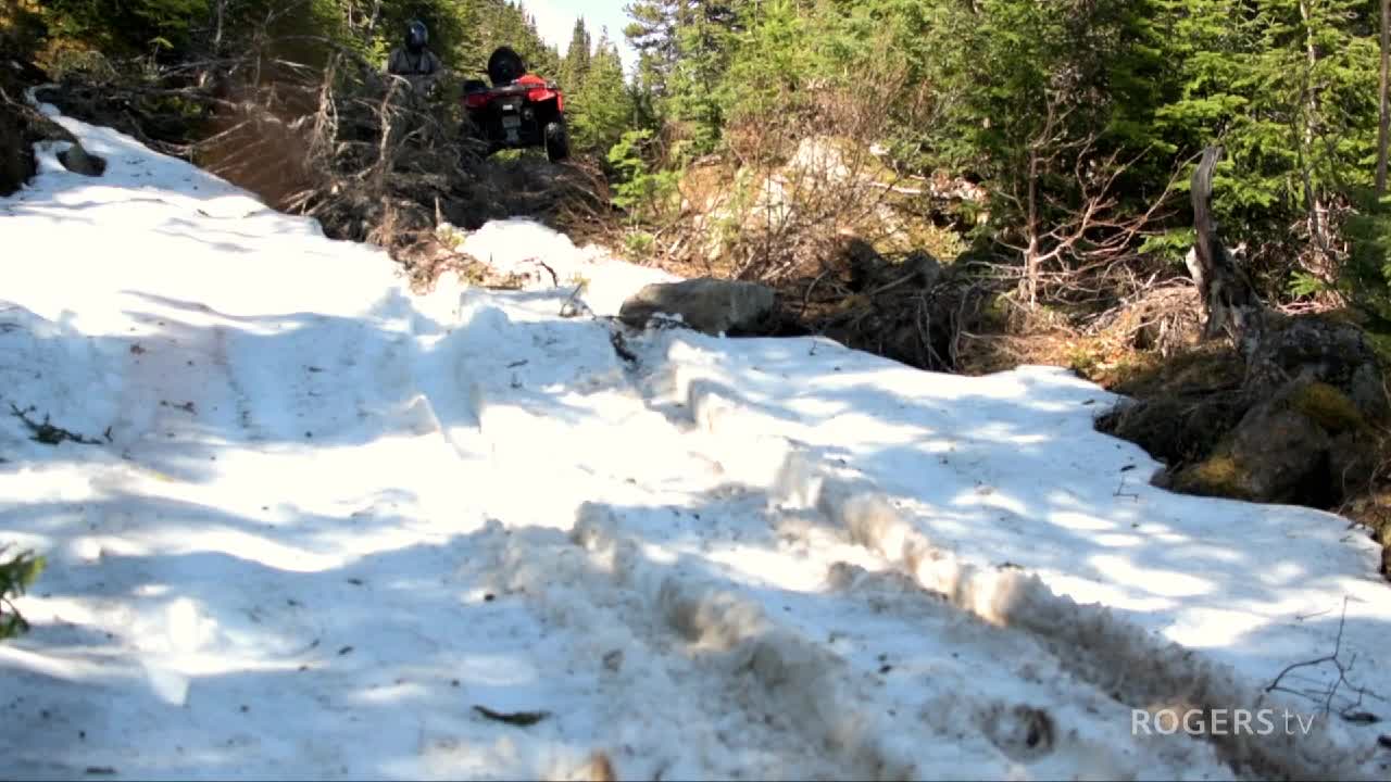 The Newfoundland Hobbyist