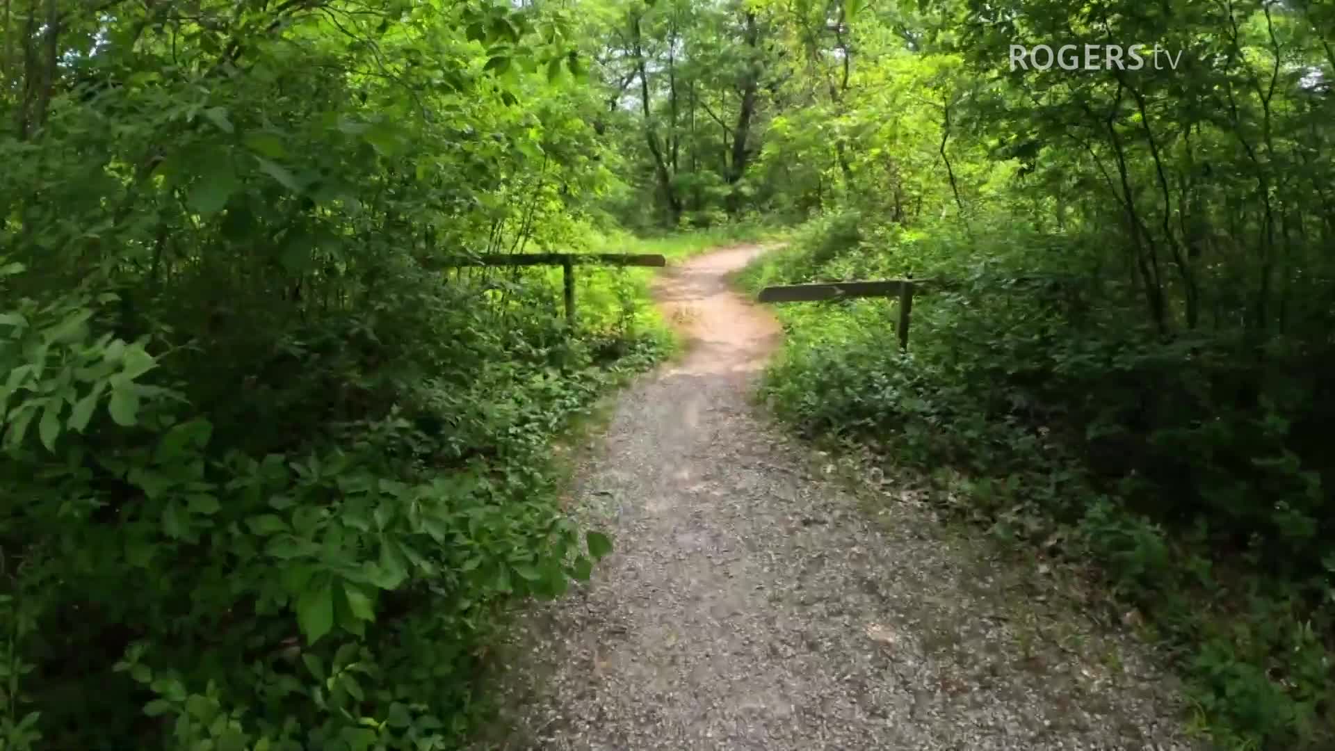 Hiking with Kathleen