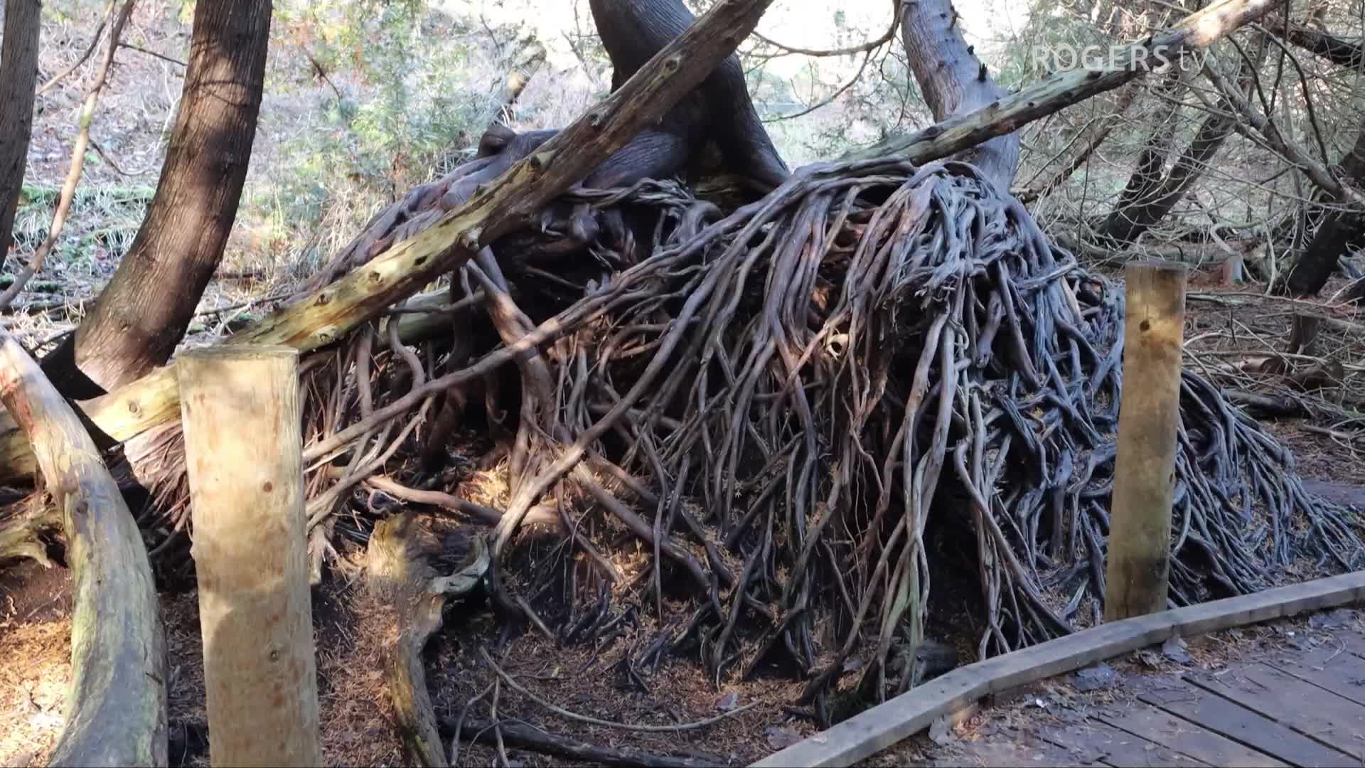 Hiking with Kathleen