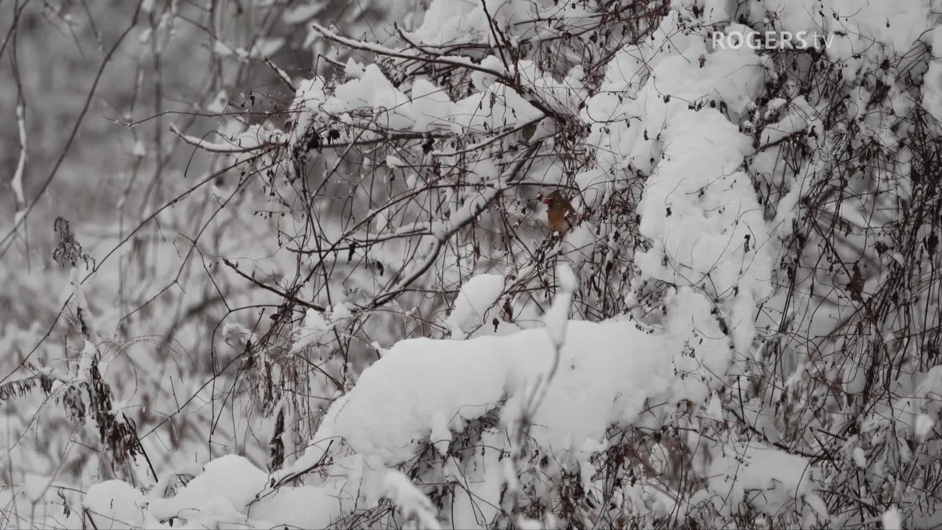 Hiking with Kathleen