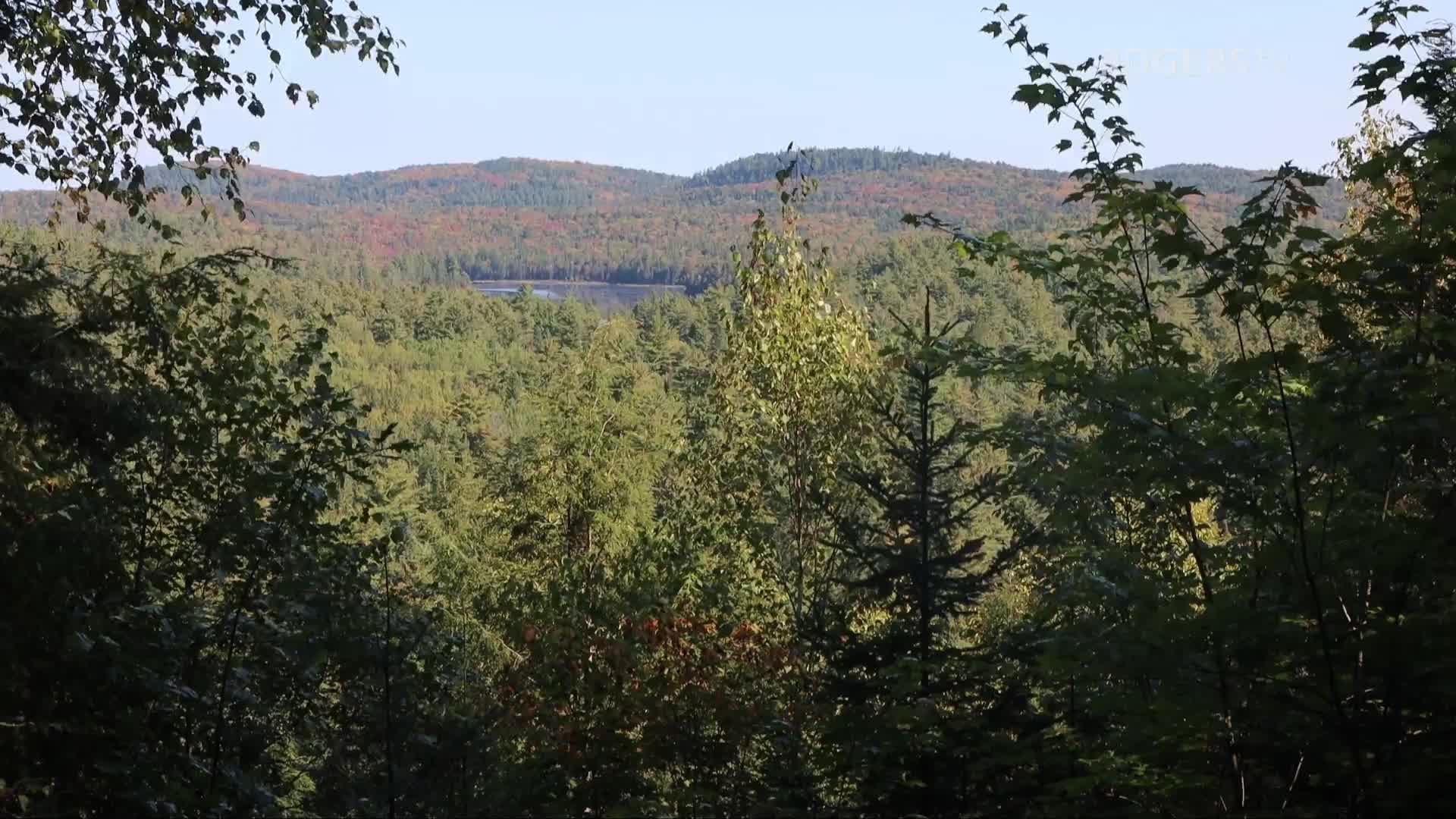 Hiking with Kathleen