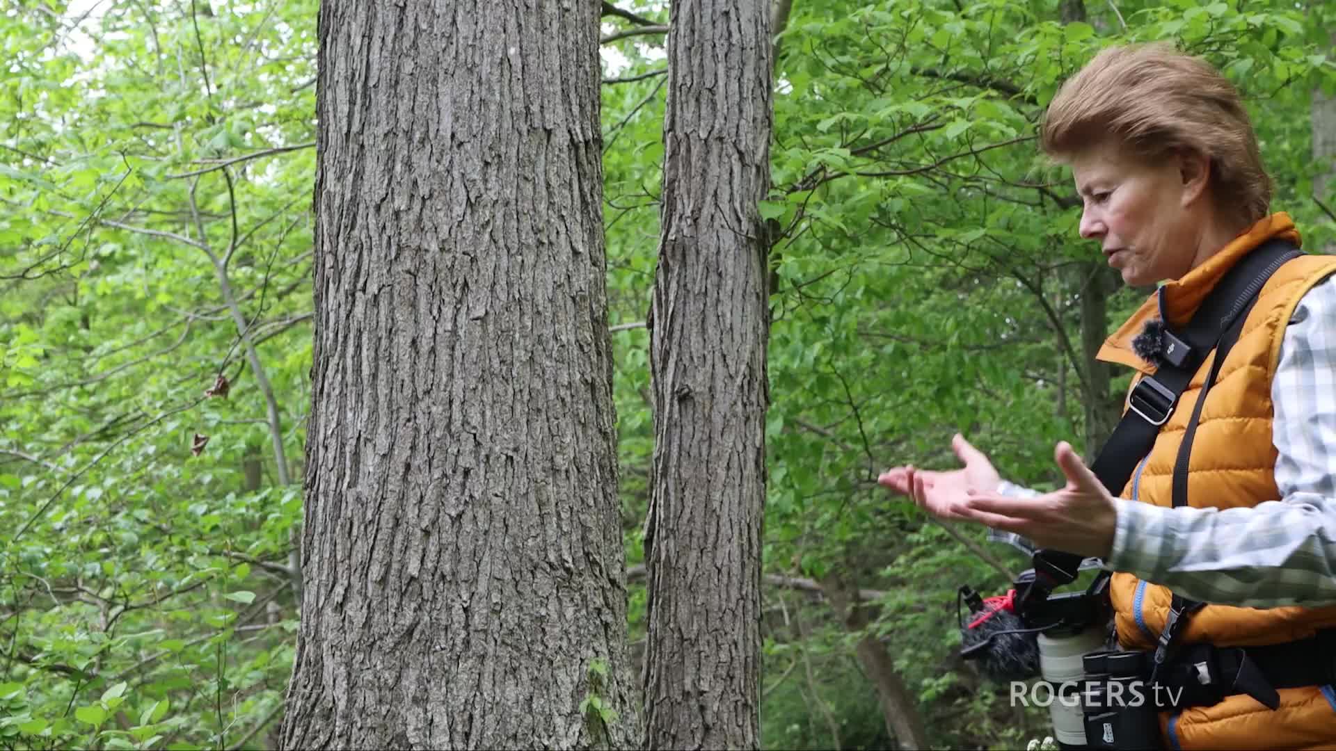 Hiking with Kathleen