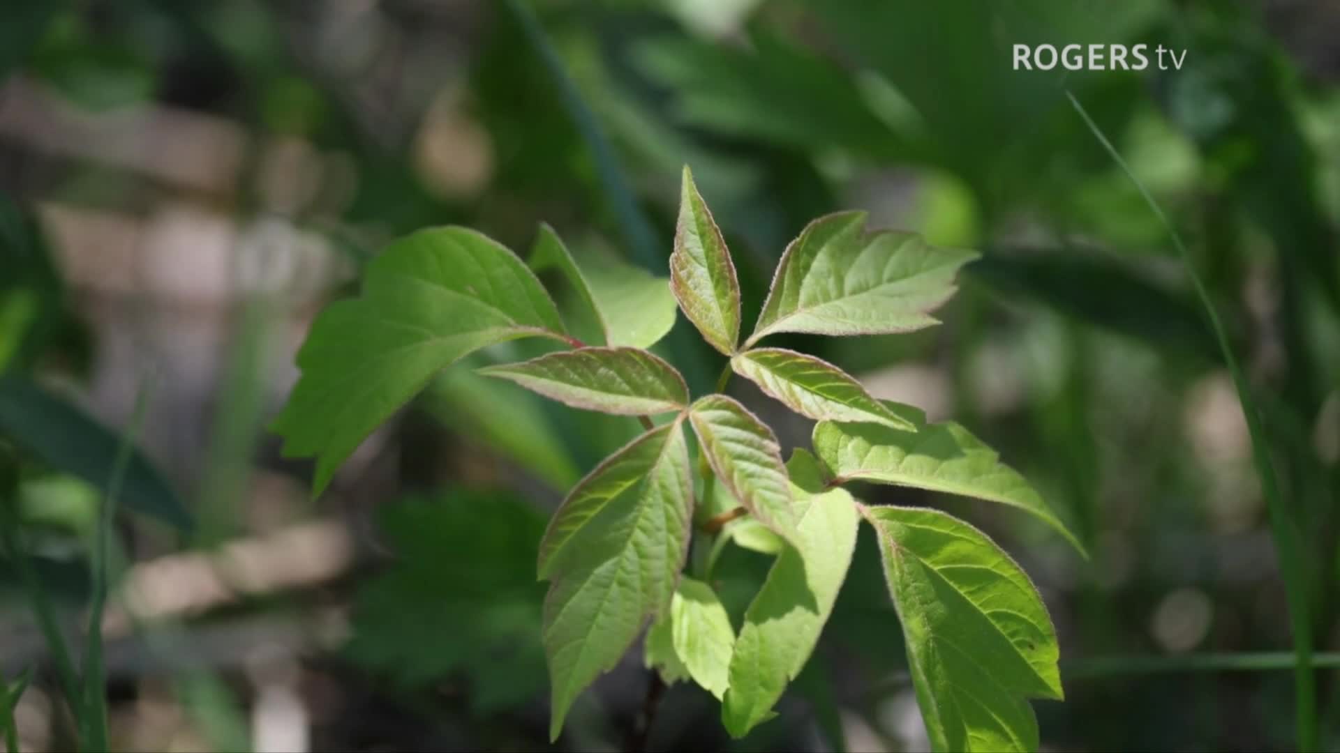 Hiking with Kathleen