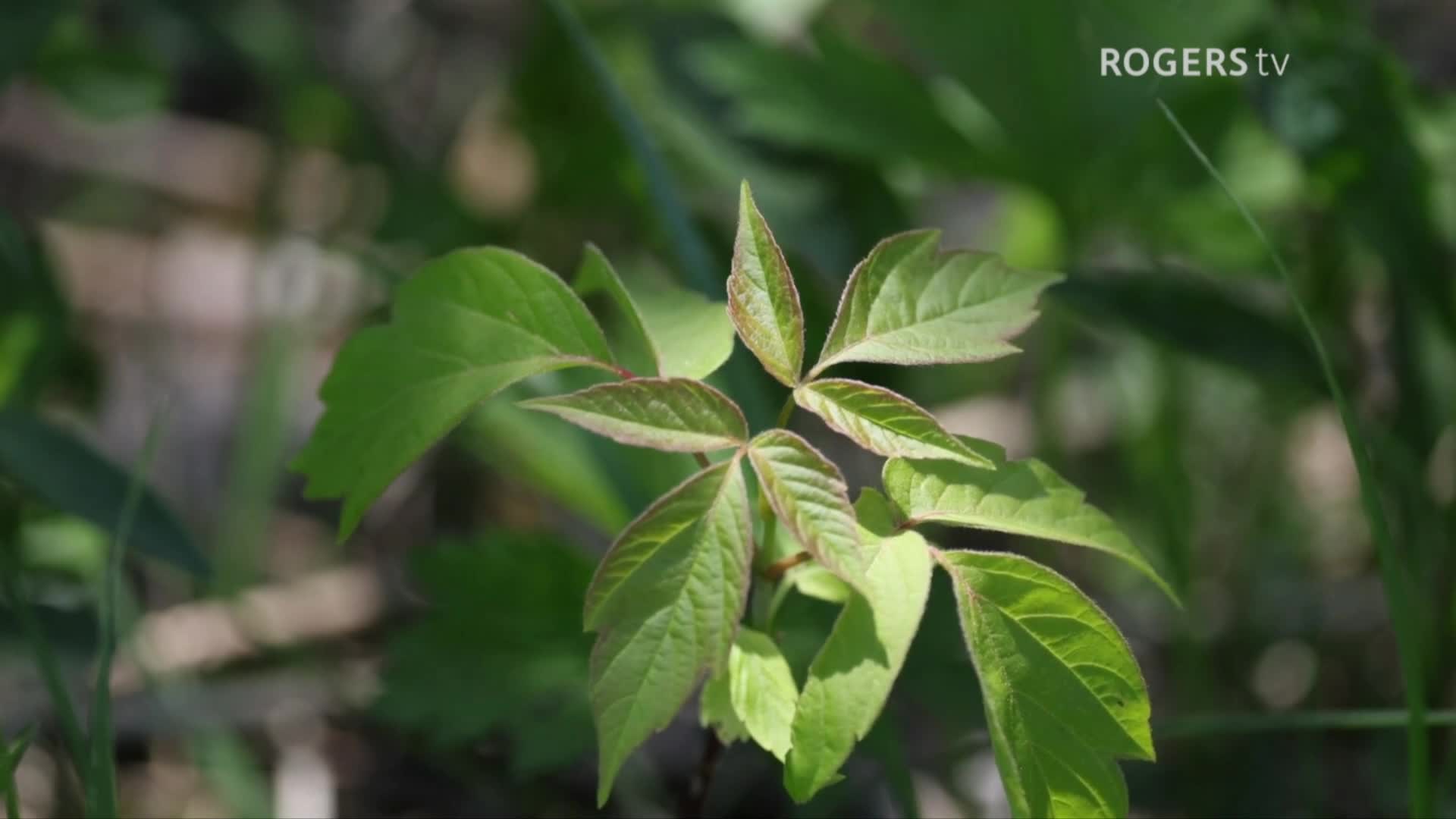 Hiking with Kathleen