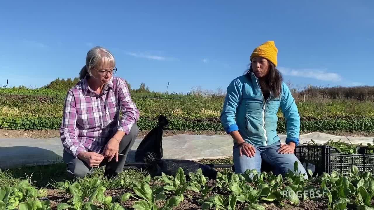 Farm to Fork with Chef Connie