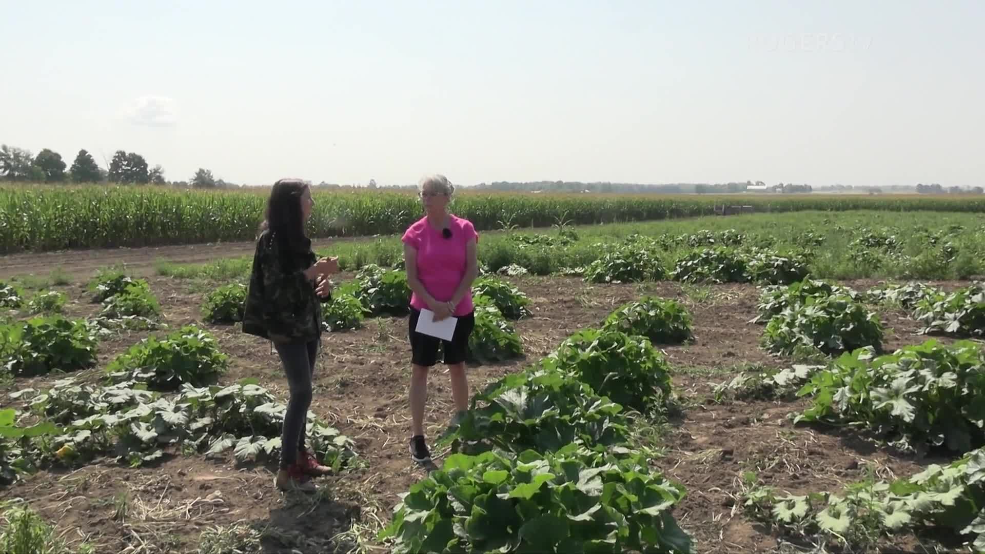 Farm to Fork with Chef Connie