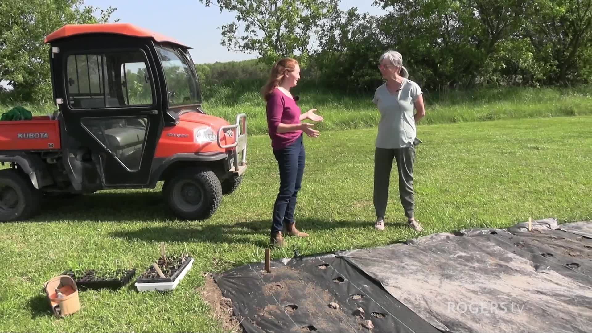 Farm to Fork with Chef Connie