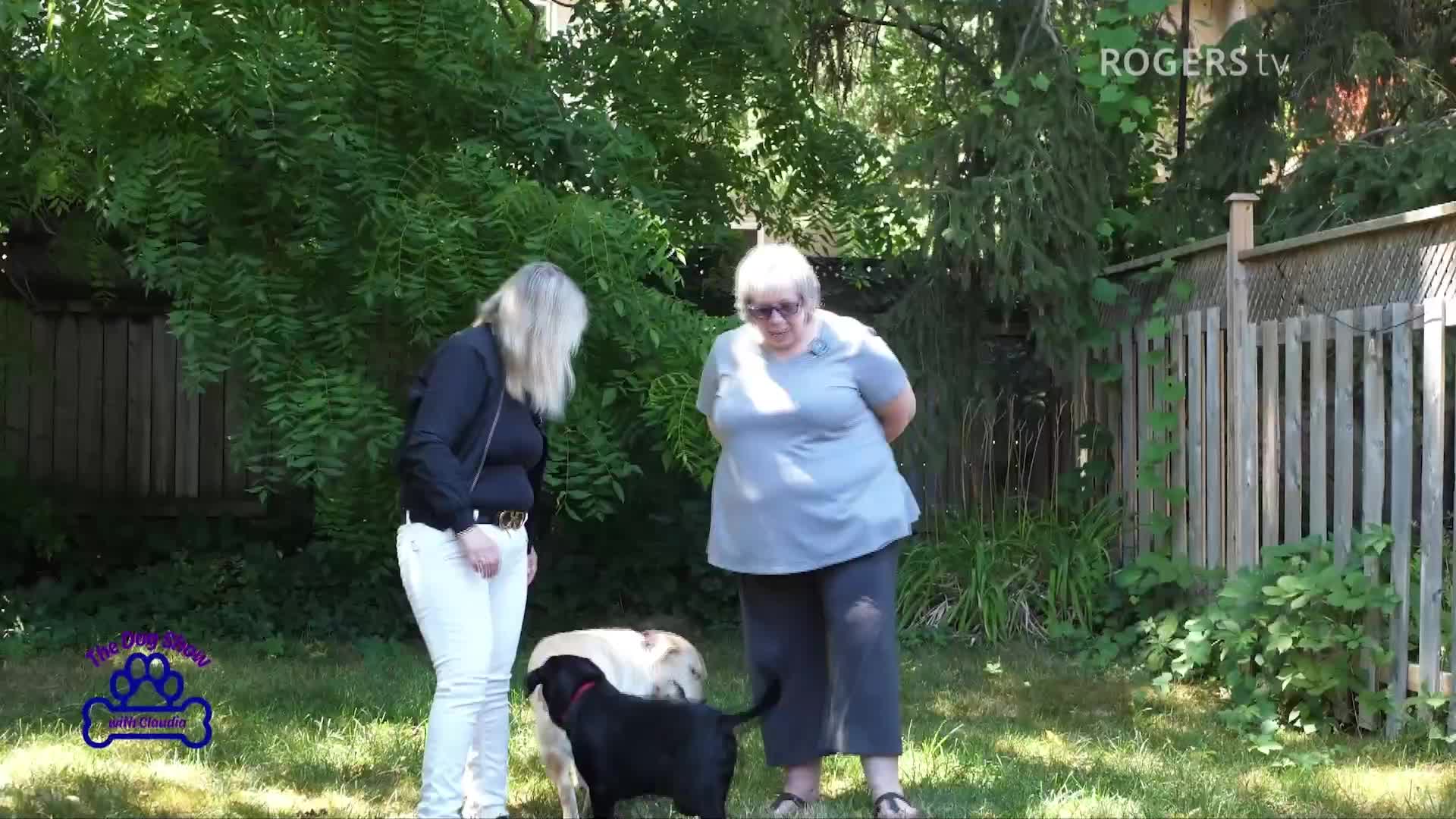 The Dog Show with Claudia