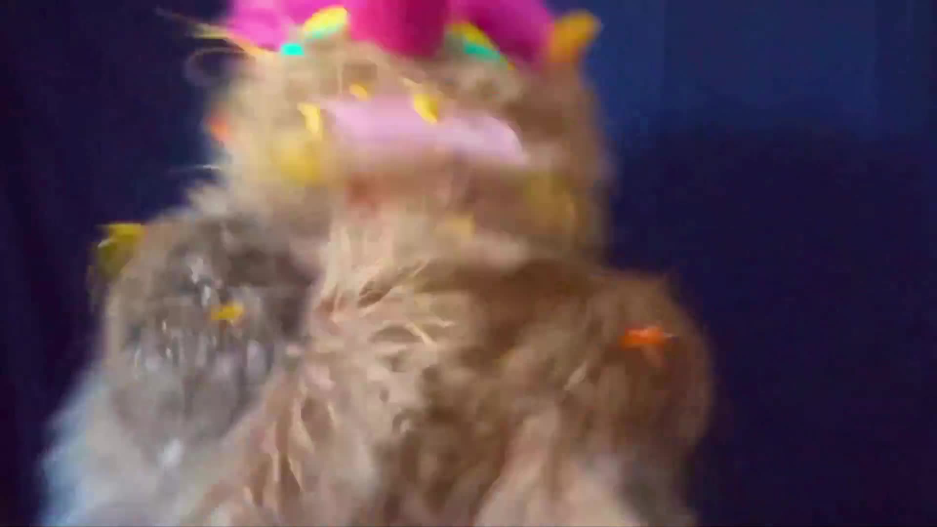 Crumpit Puppet Corner