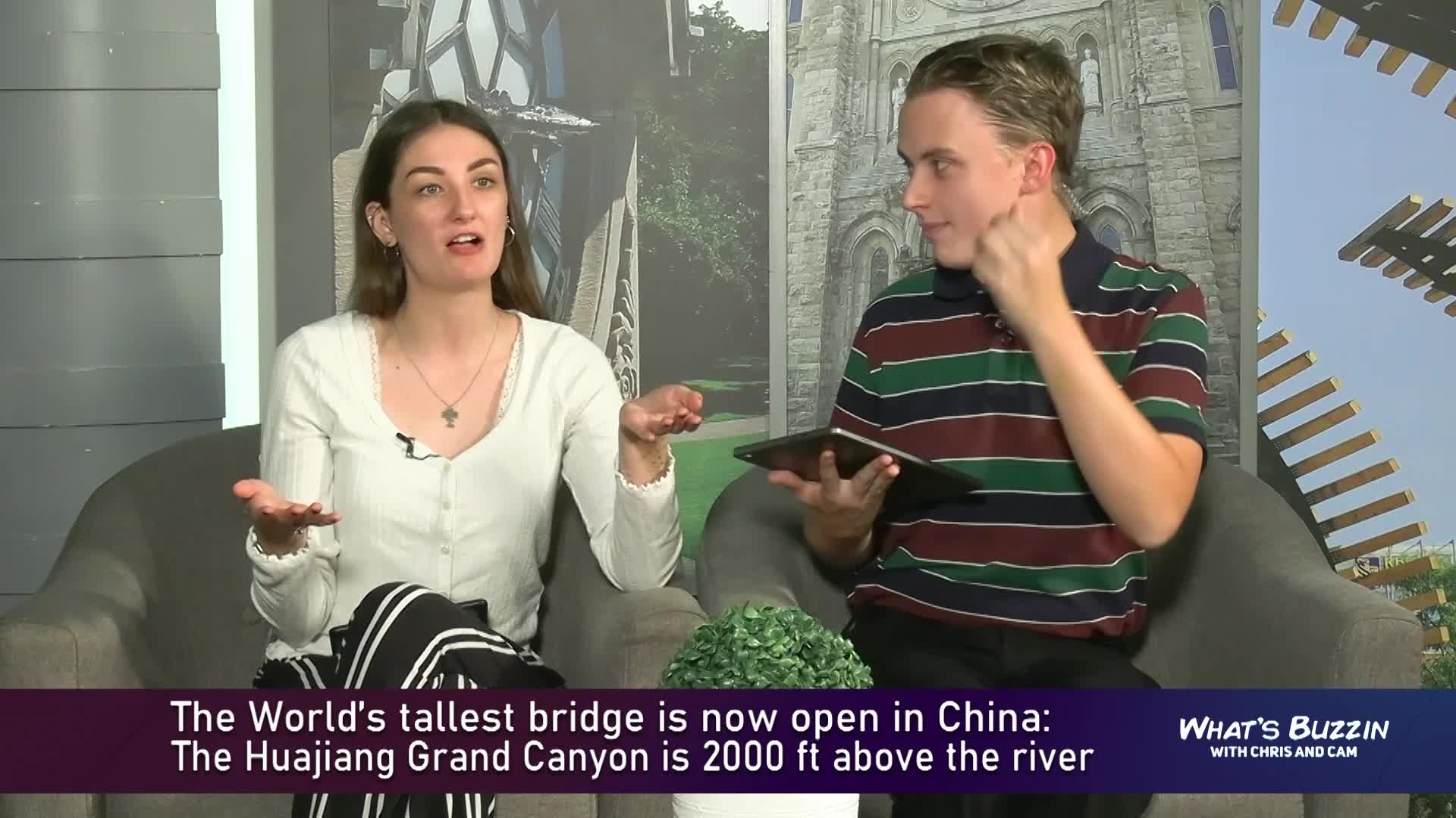 What's Buzzin with Chris and Cam