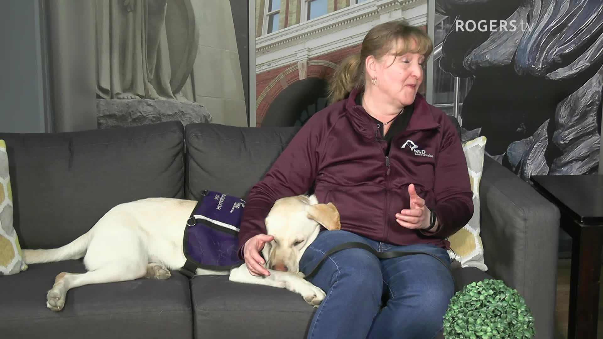 What's Buzzin with Chris and Cam