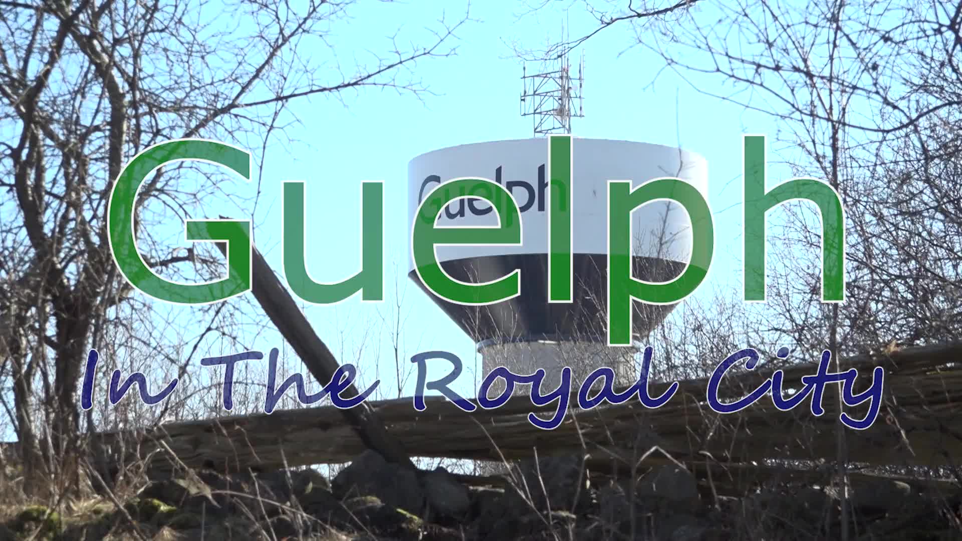 Guelph: In The Royal City