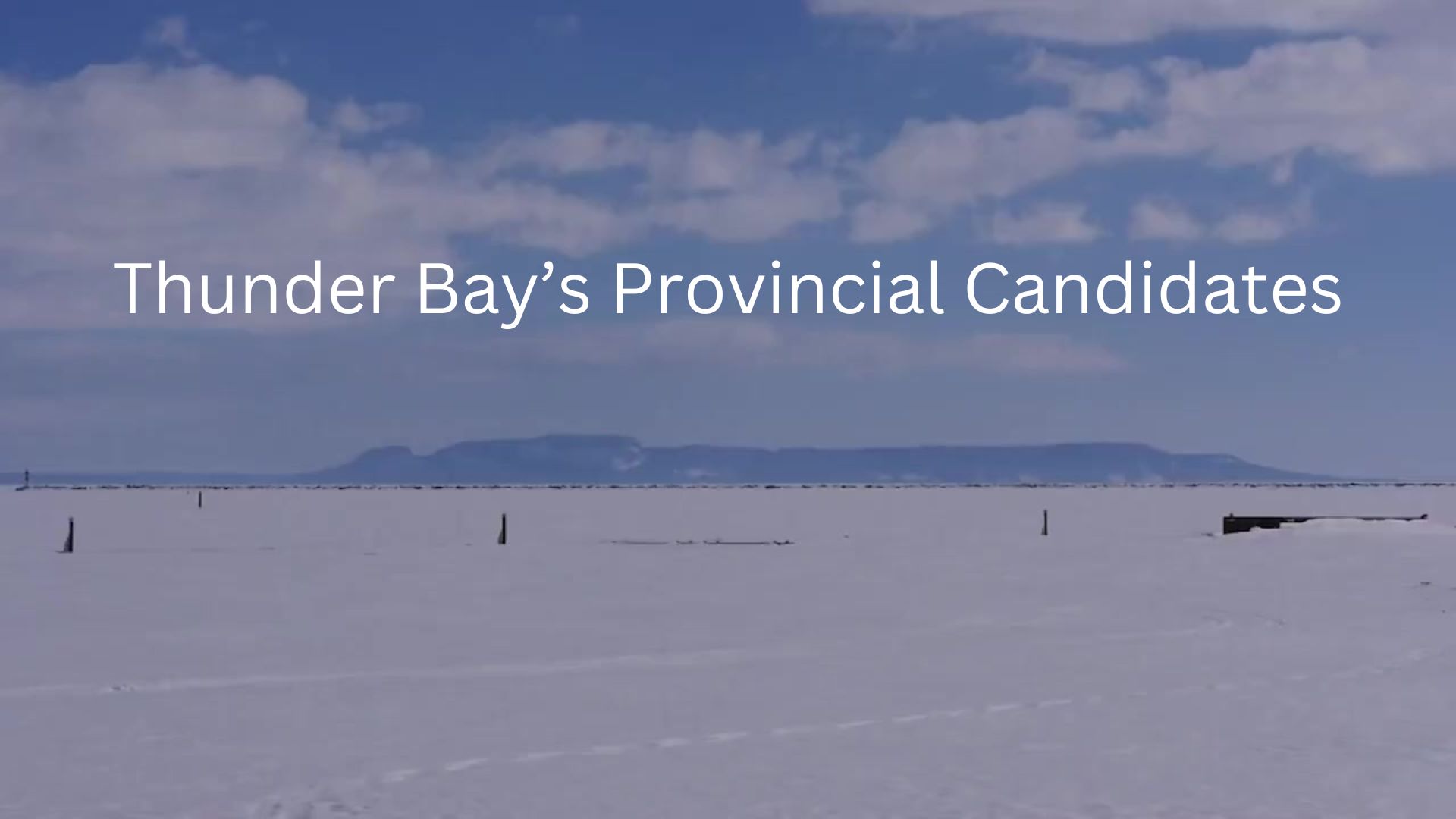 Thunder Bay Provincial Candidate Platforms