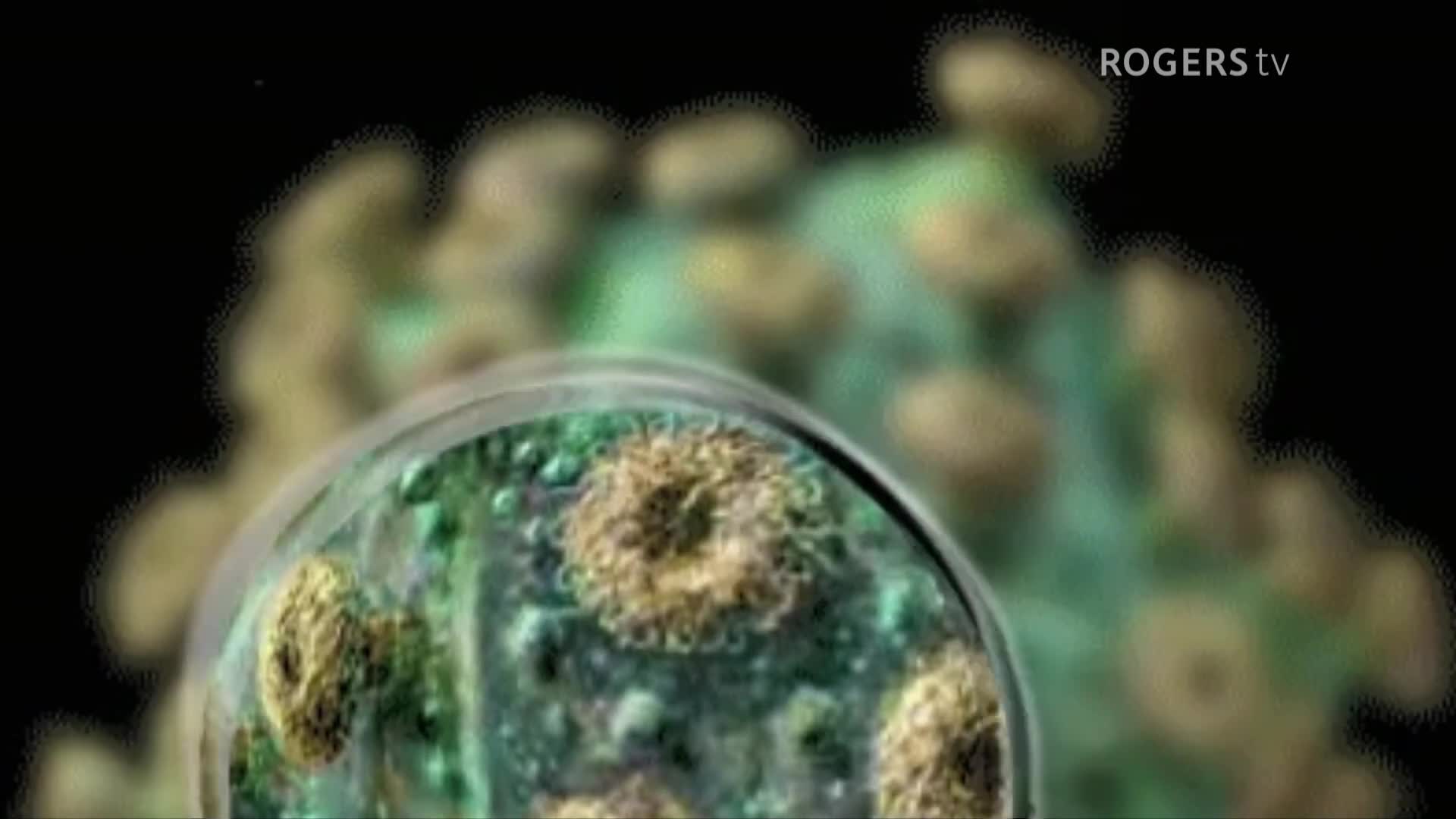 Path to Food Security