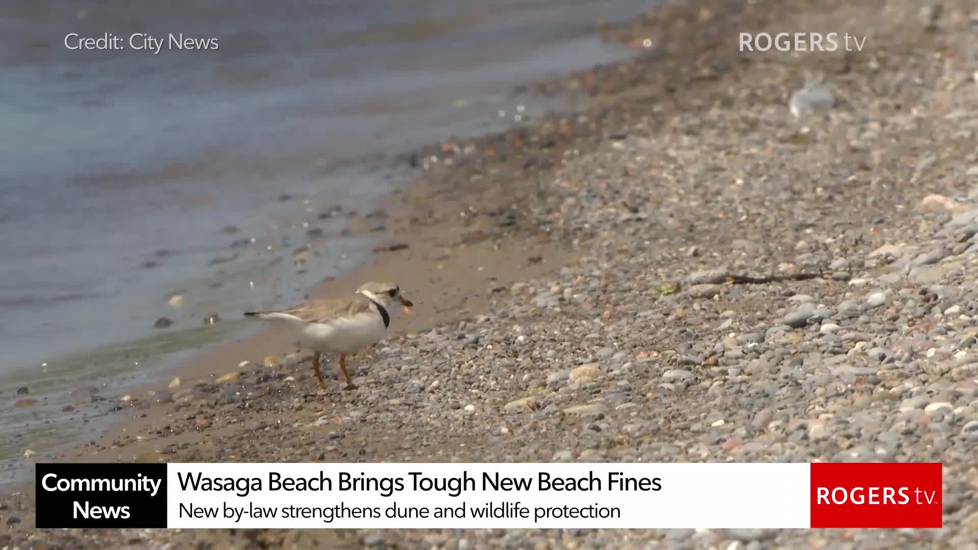 Rogers TV Community News