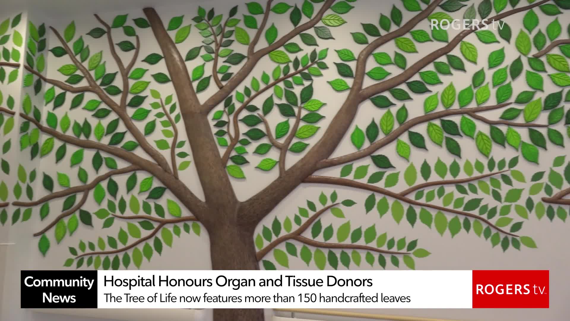 Rogers tv Community News