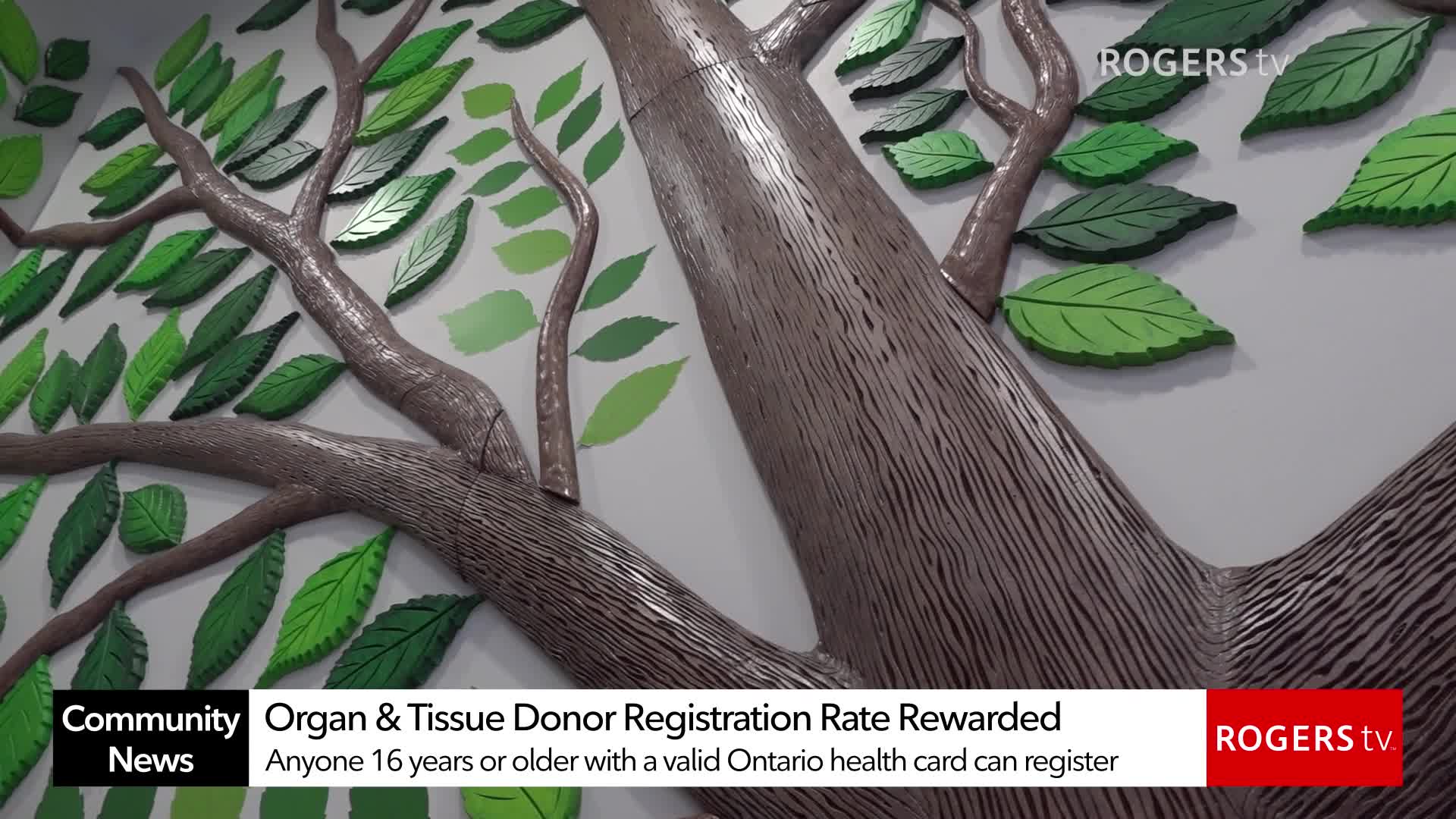 Rogers tv Community News