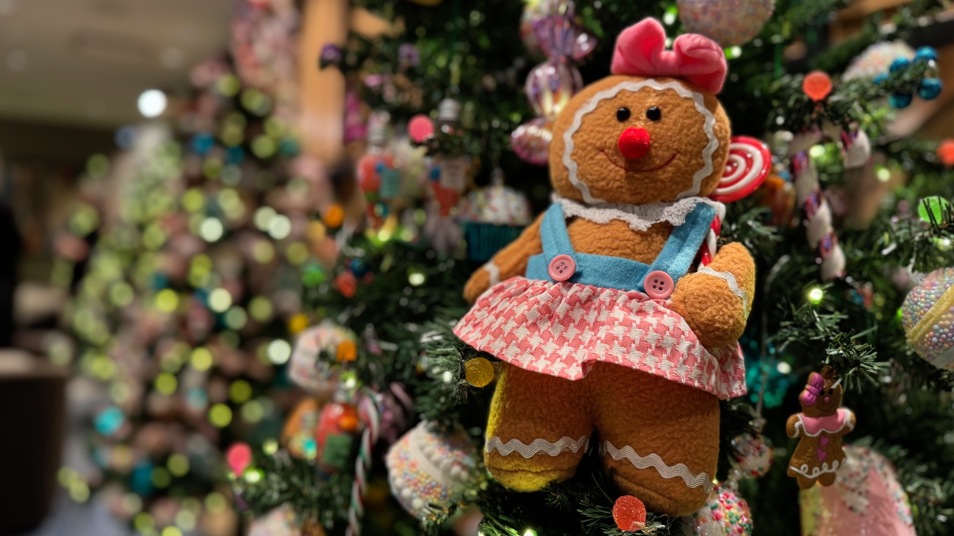 Rogers tv Community News 