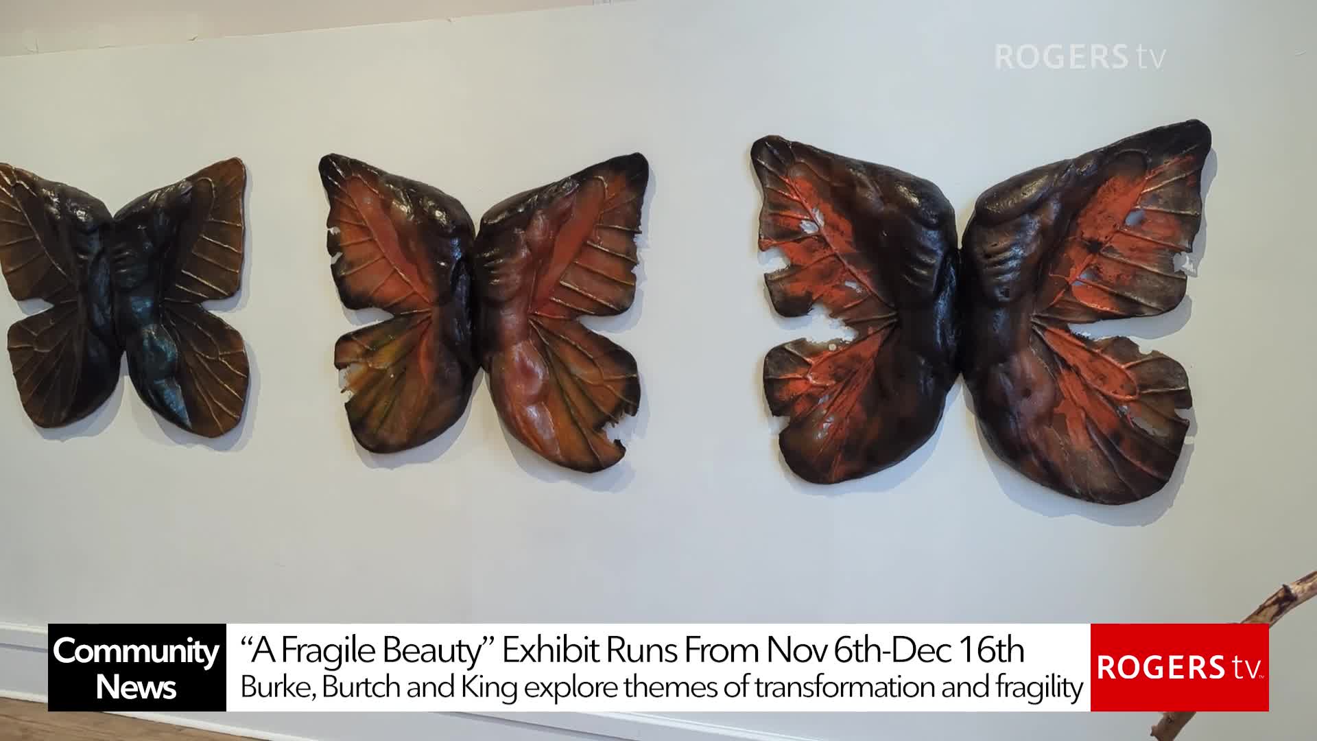 Rogers tv Community News