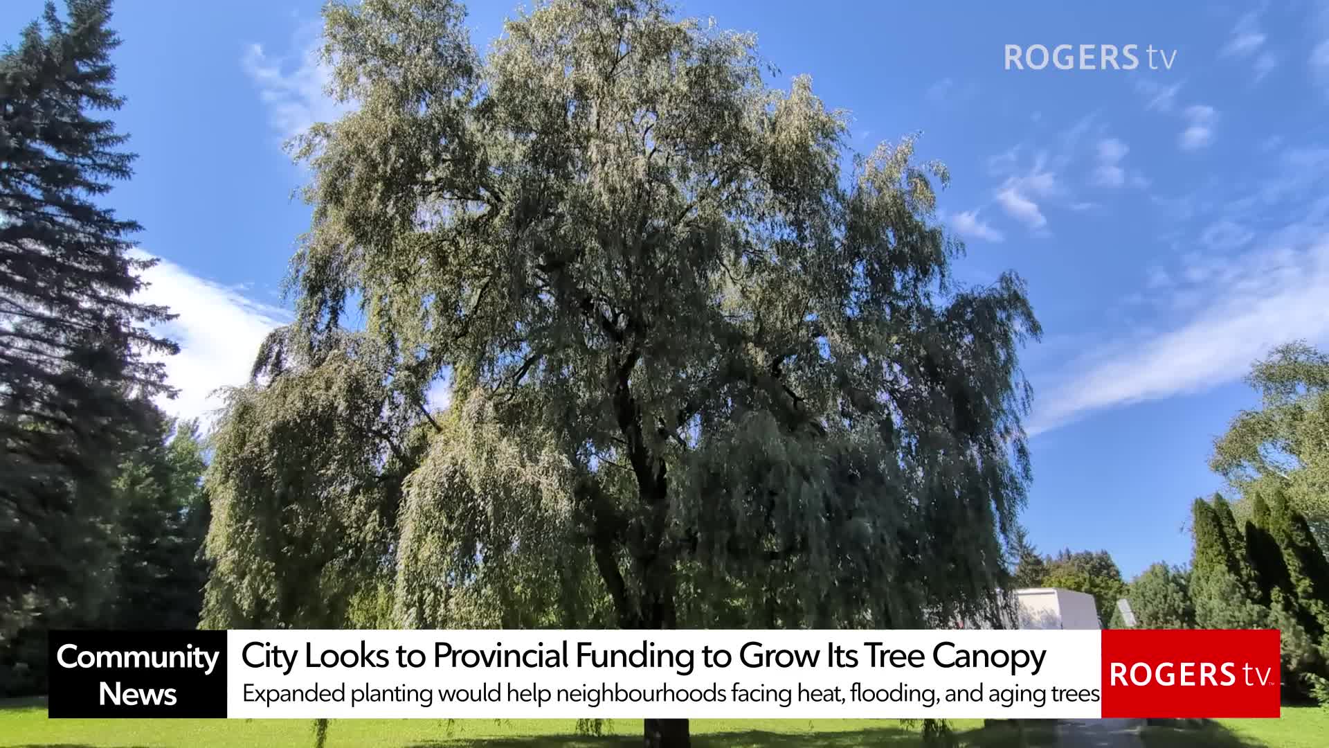 Rogers tv Community News