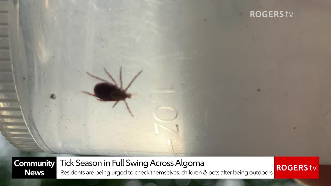 Rogers tv Community News