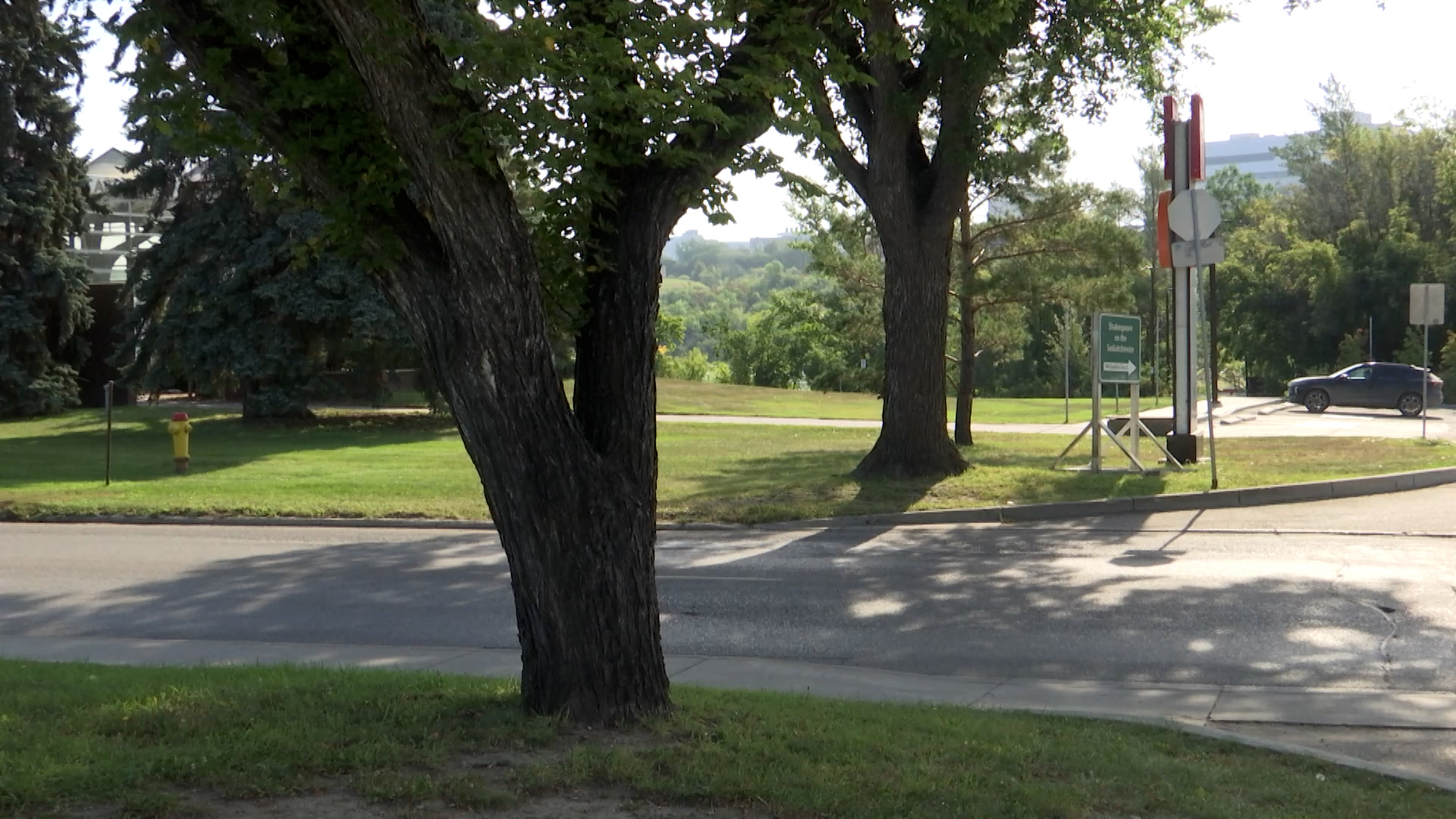 Rogers tv Community News