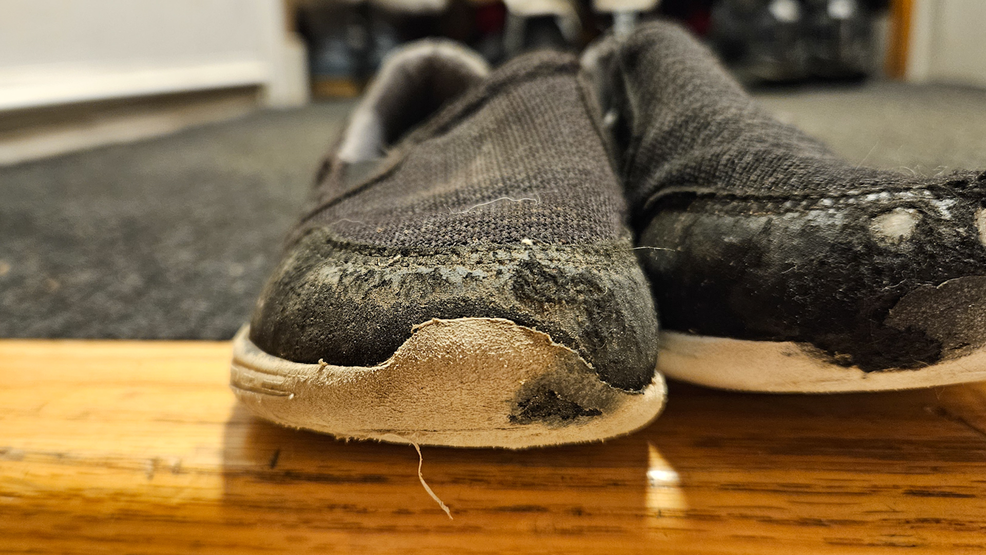 Rogers tv Community News