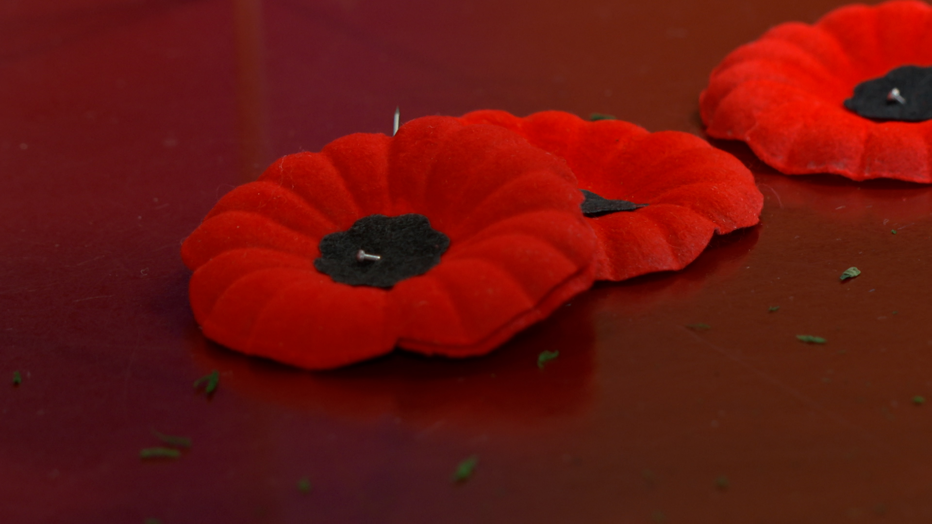 Rogers tv Community News