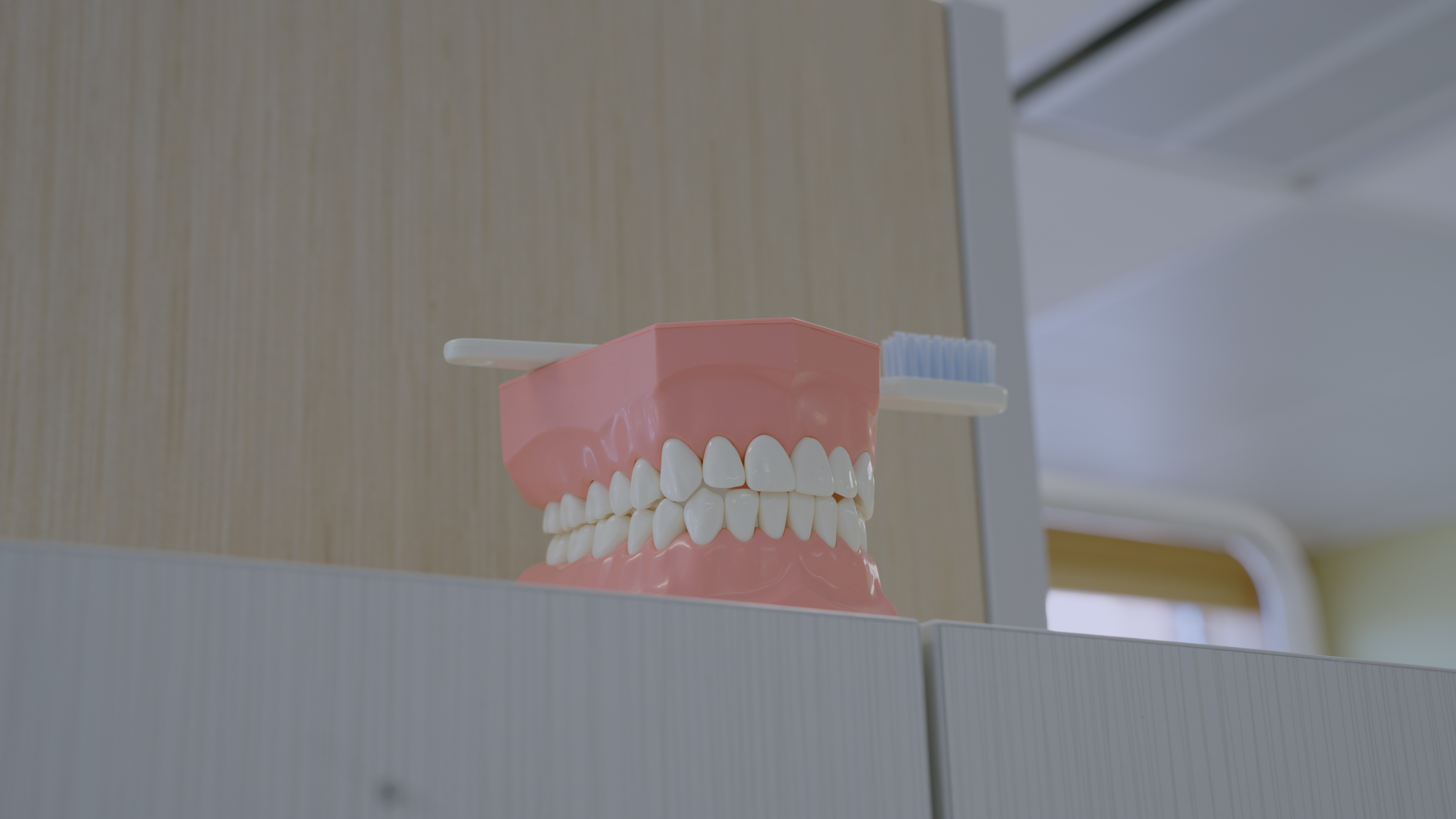 Rogers tv Community News