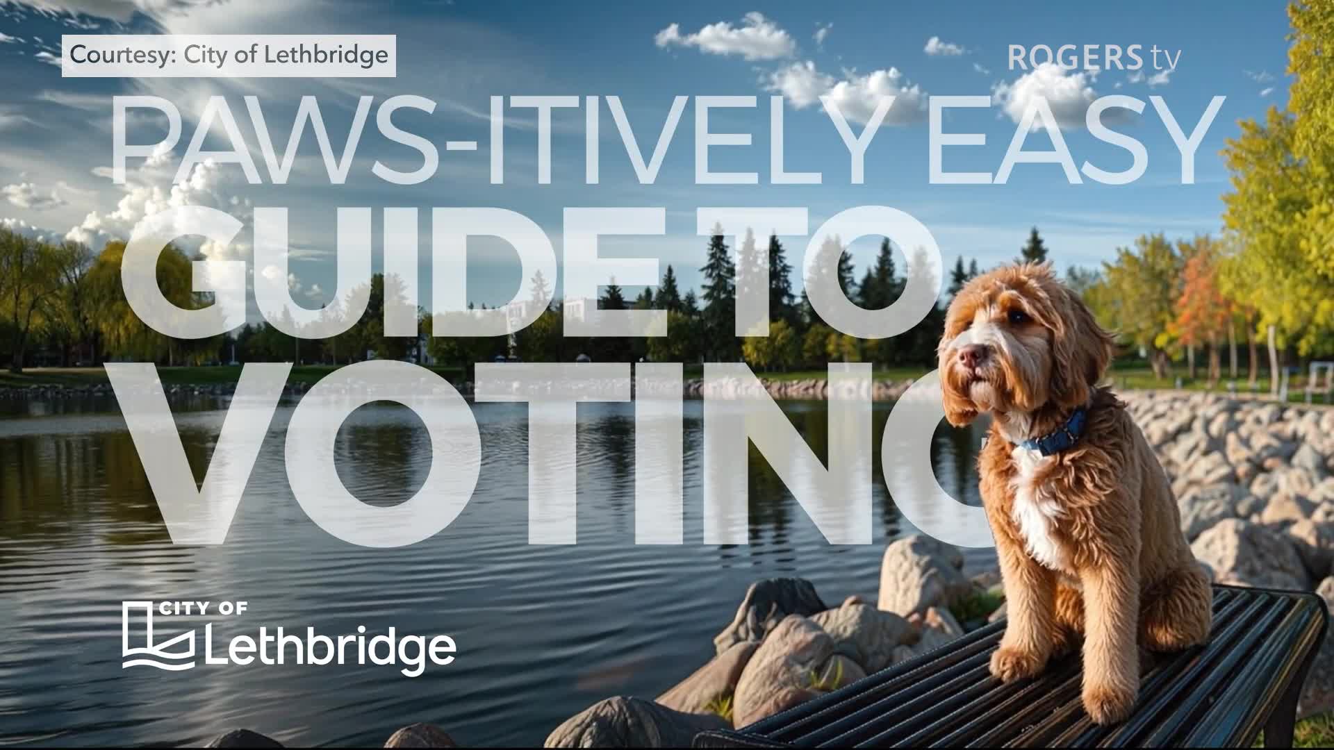 Rogers tv Community News