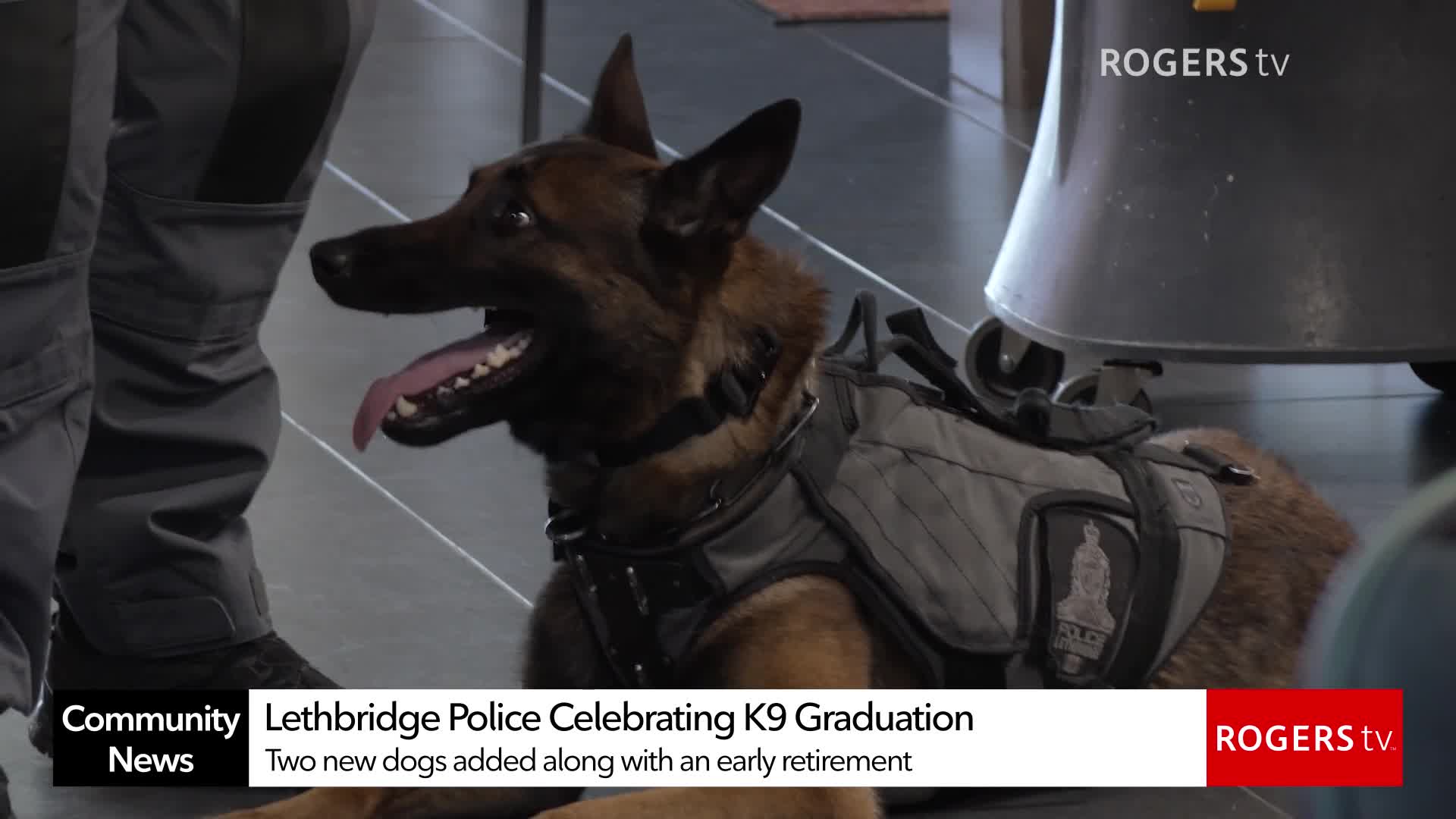 Rogers tv Community News