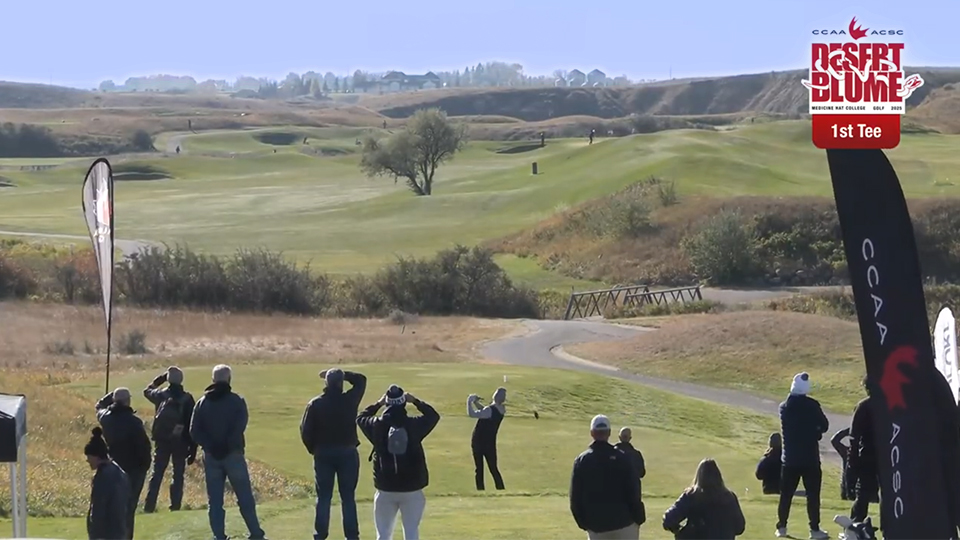 Rogers tv Community News